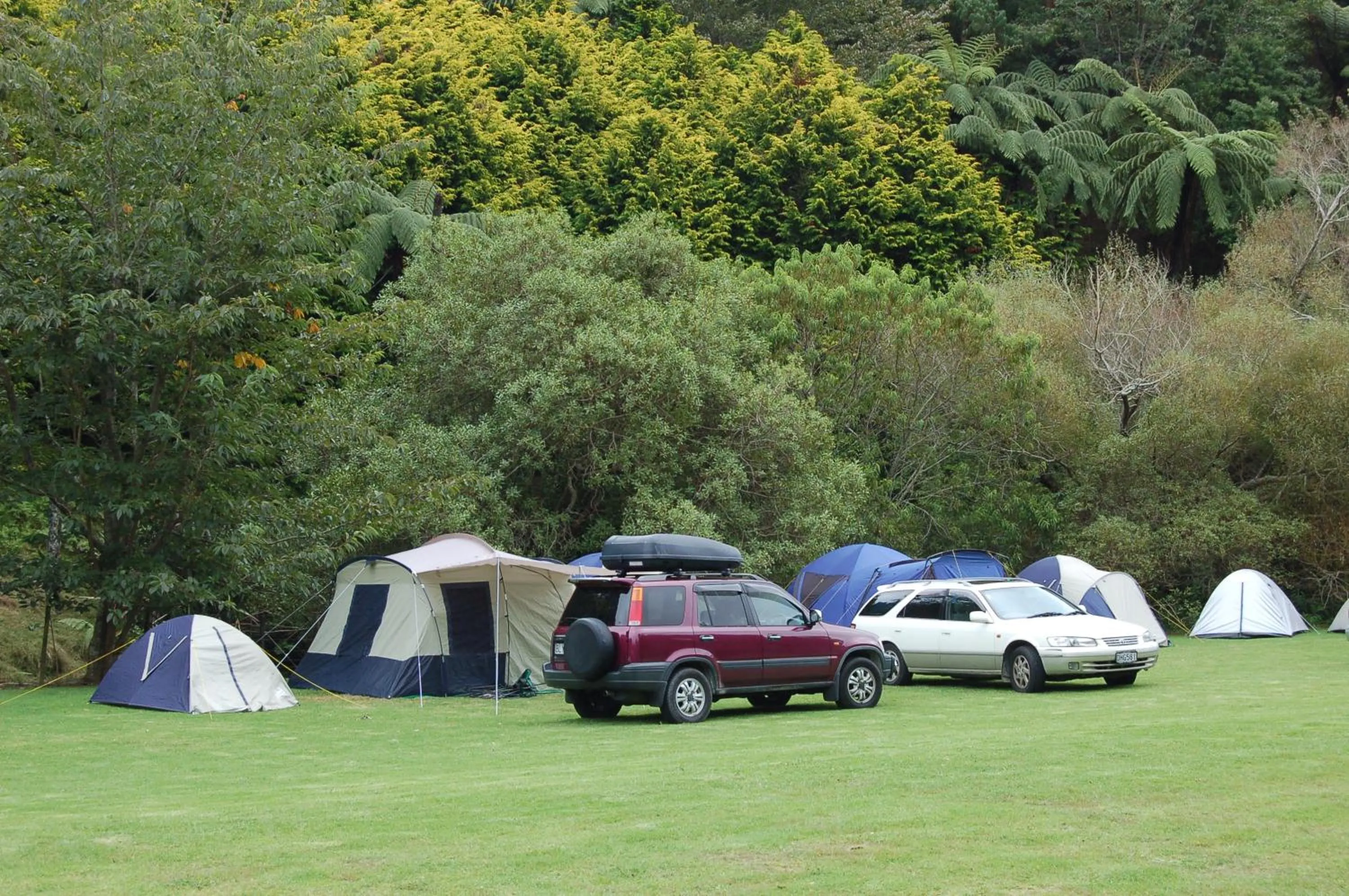 Day in Egmont Eco Leisure Park & Backpackers