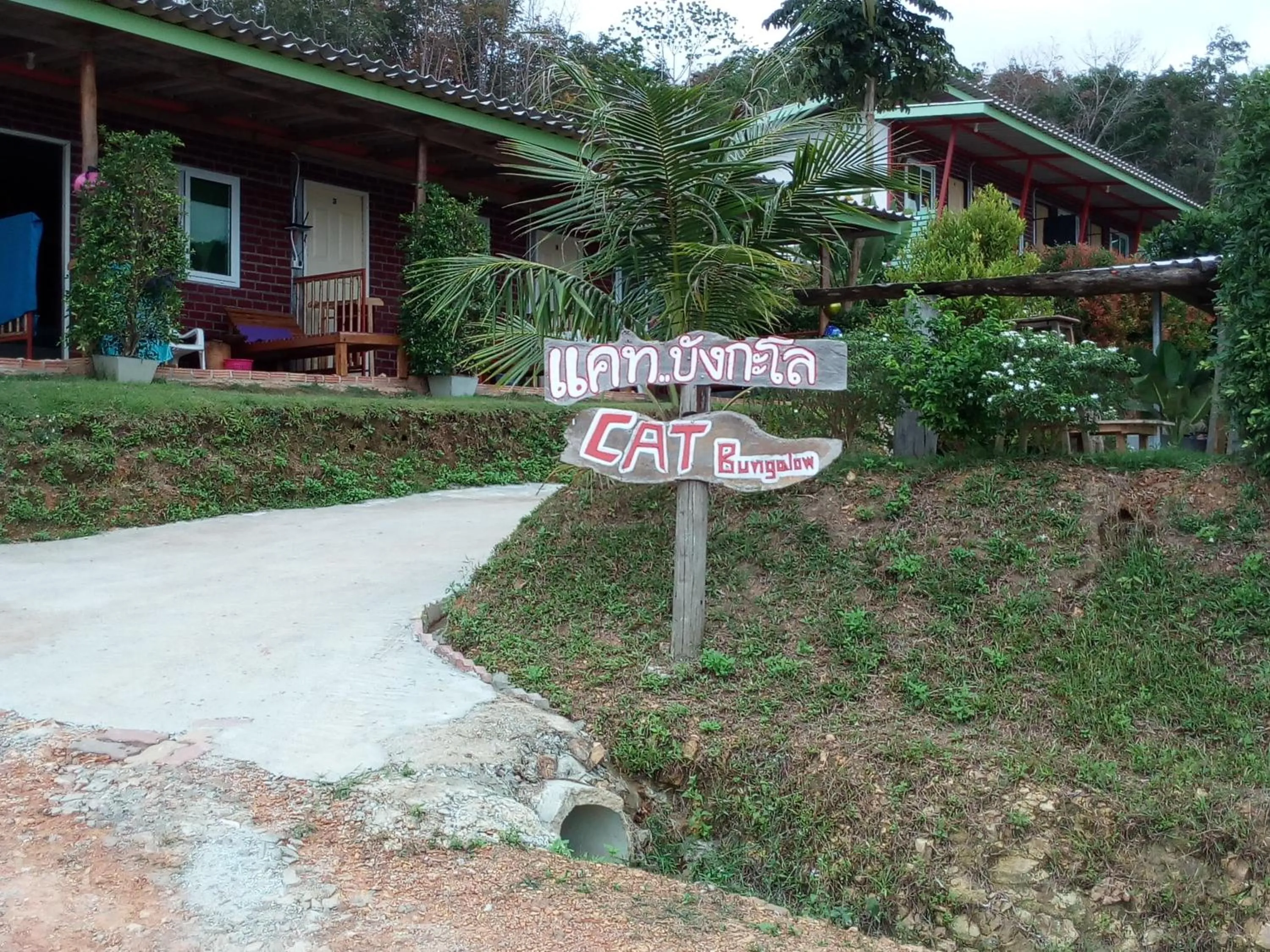 Property logo or sign in Cat Bungalow