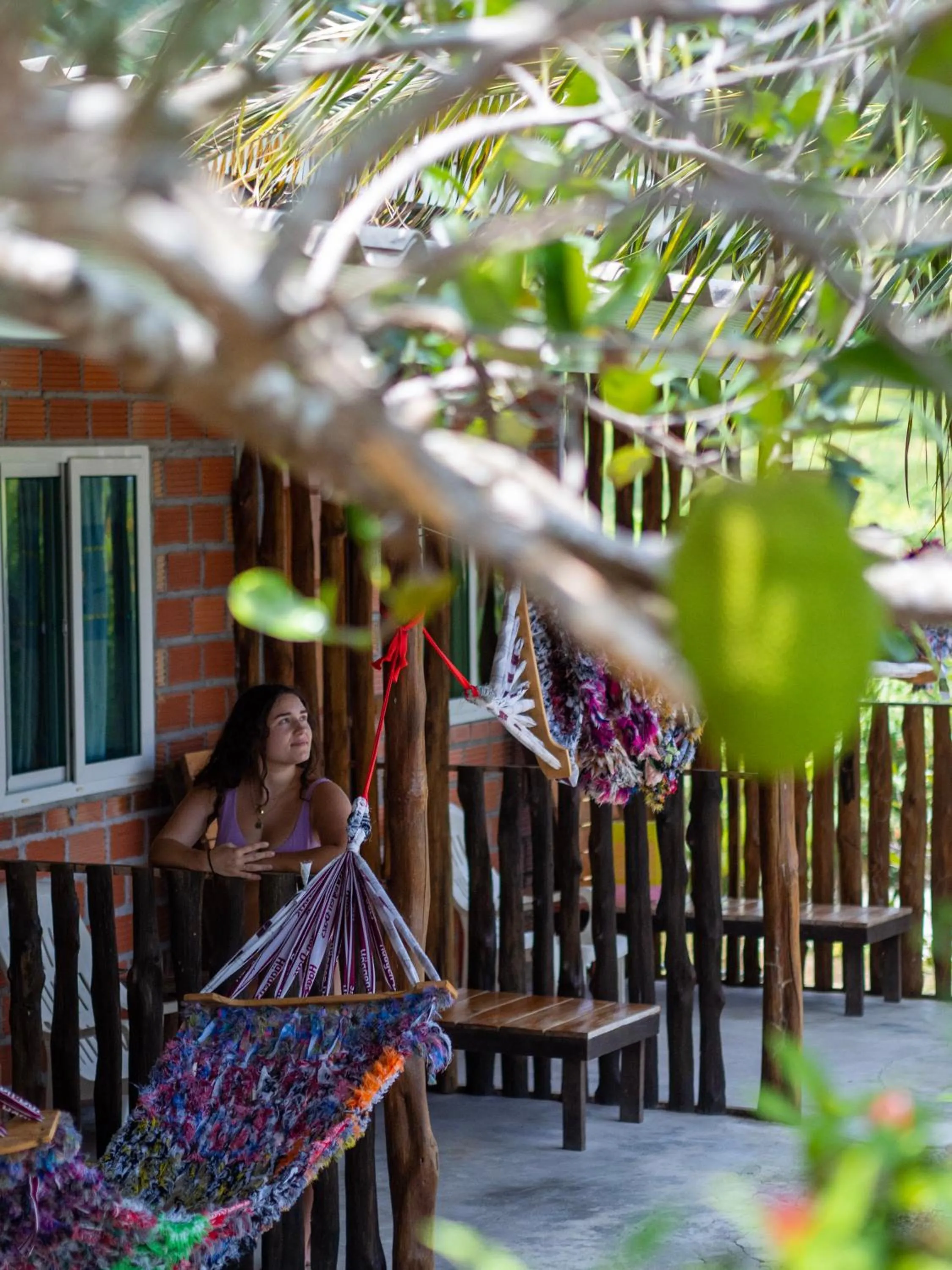 Property building in Cat Bungalow
