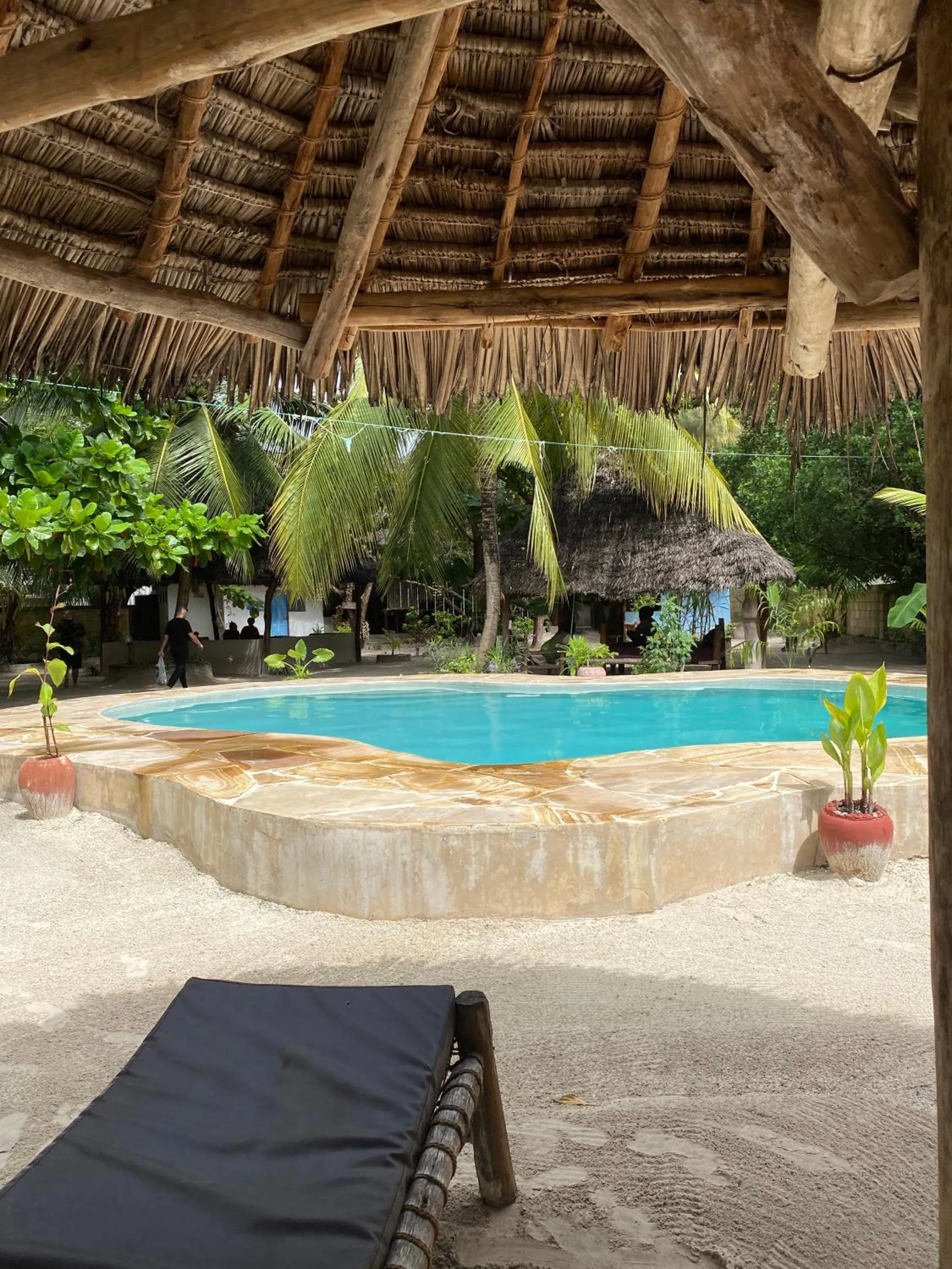Swimming pool in Mpole Bungalows