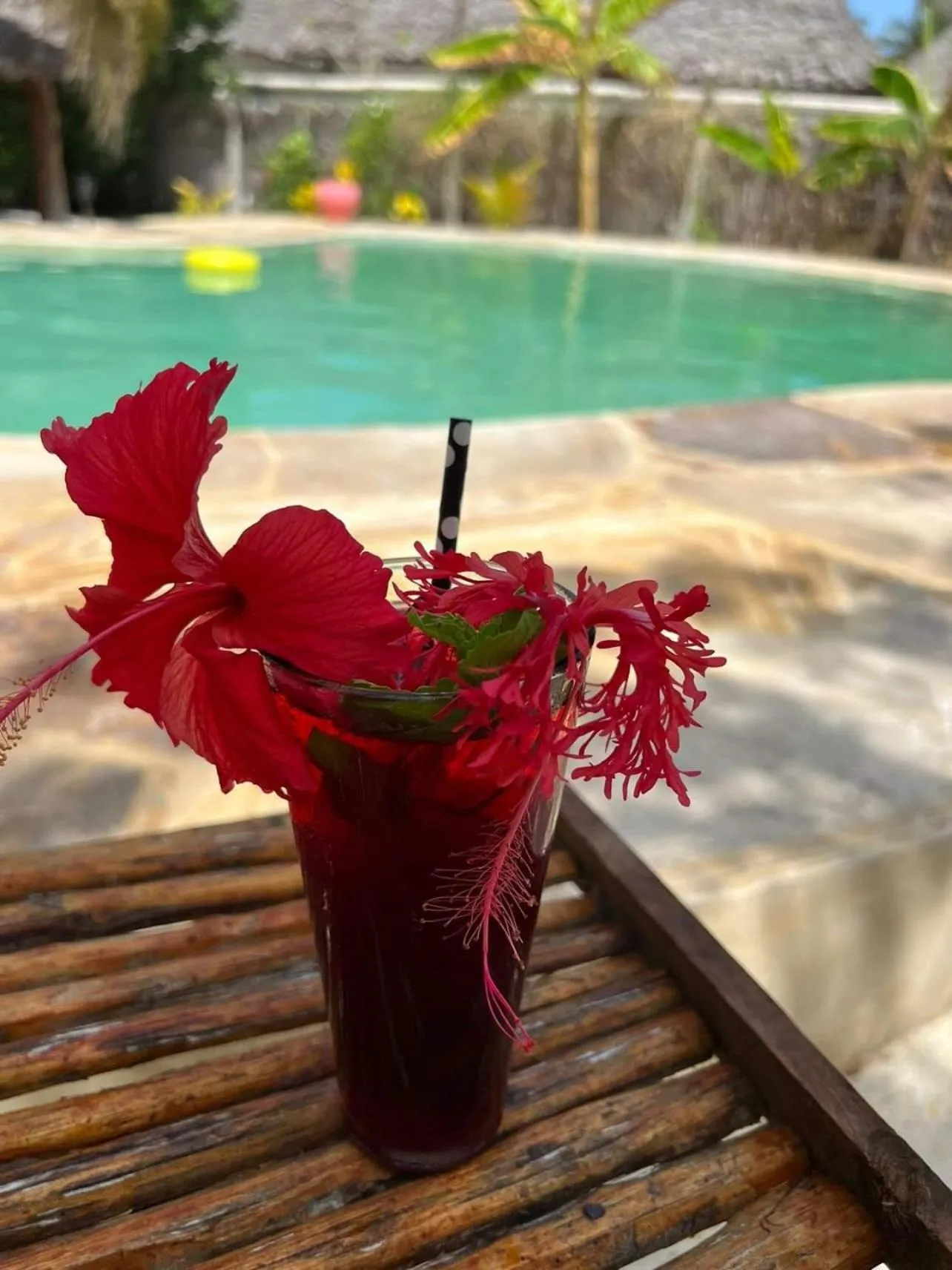 Lounge or bar in Mpole Bungalows