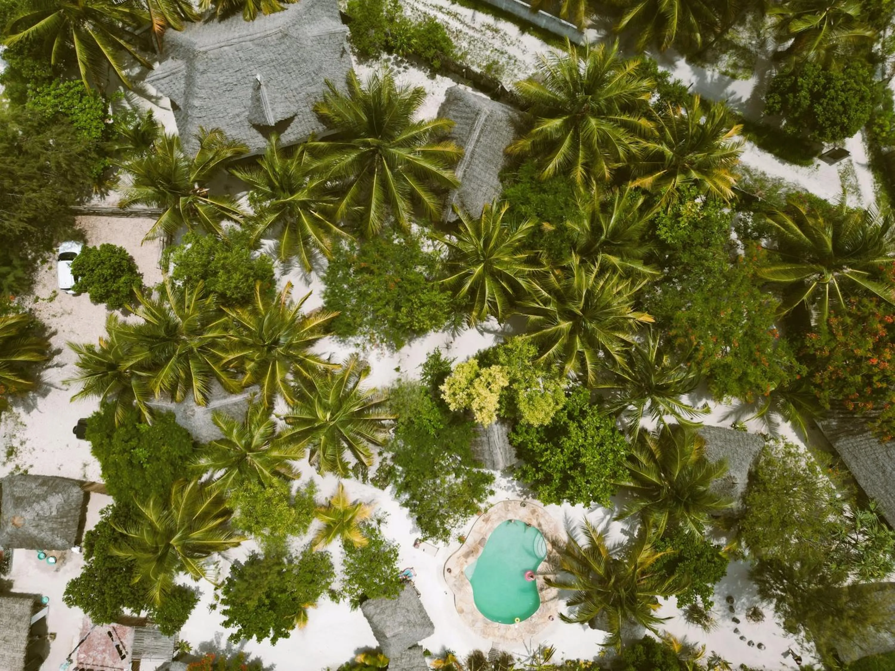 Natural landscape in Mpole Bungalows