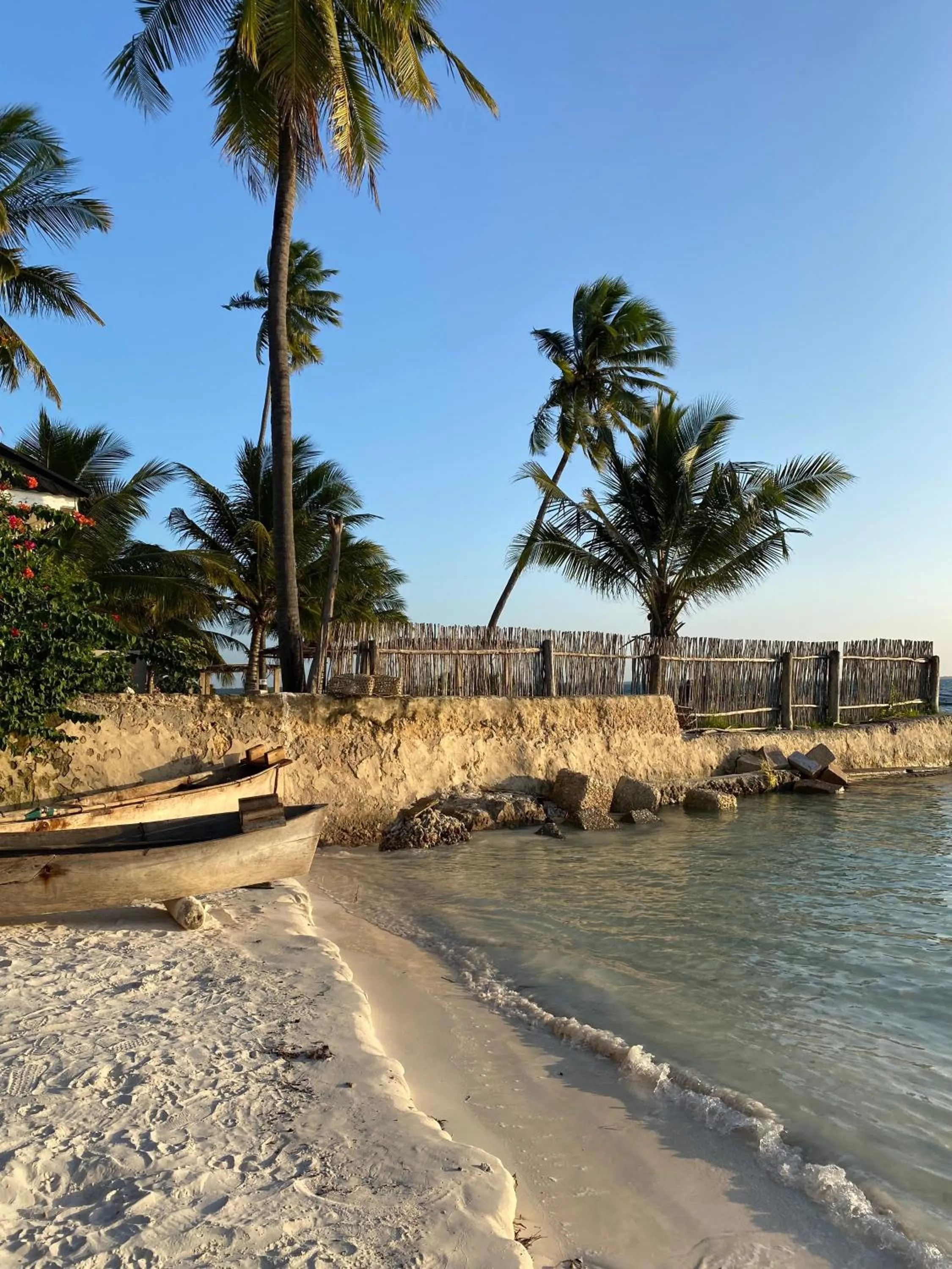 Beach in Mpole Bungalows