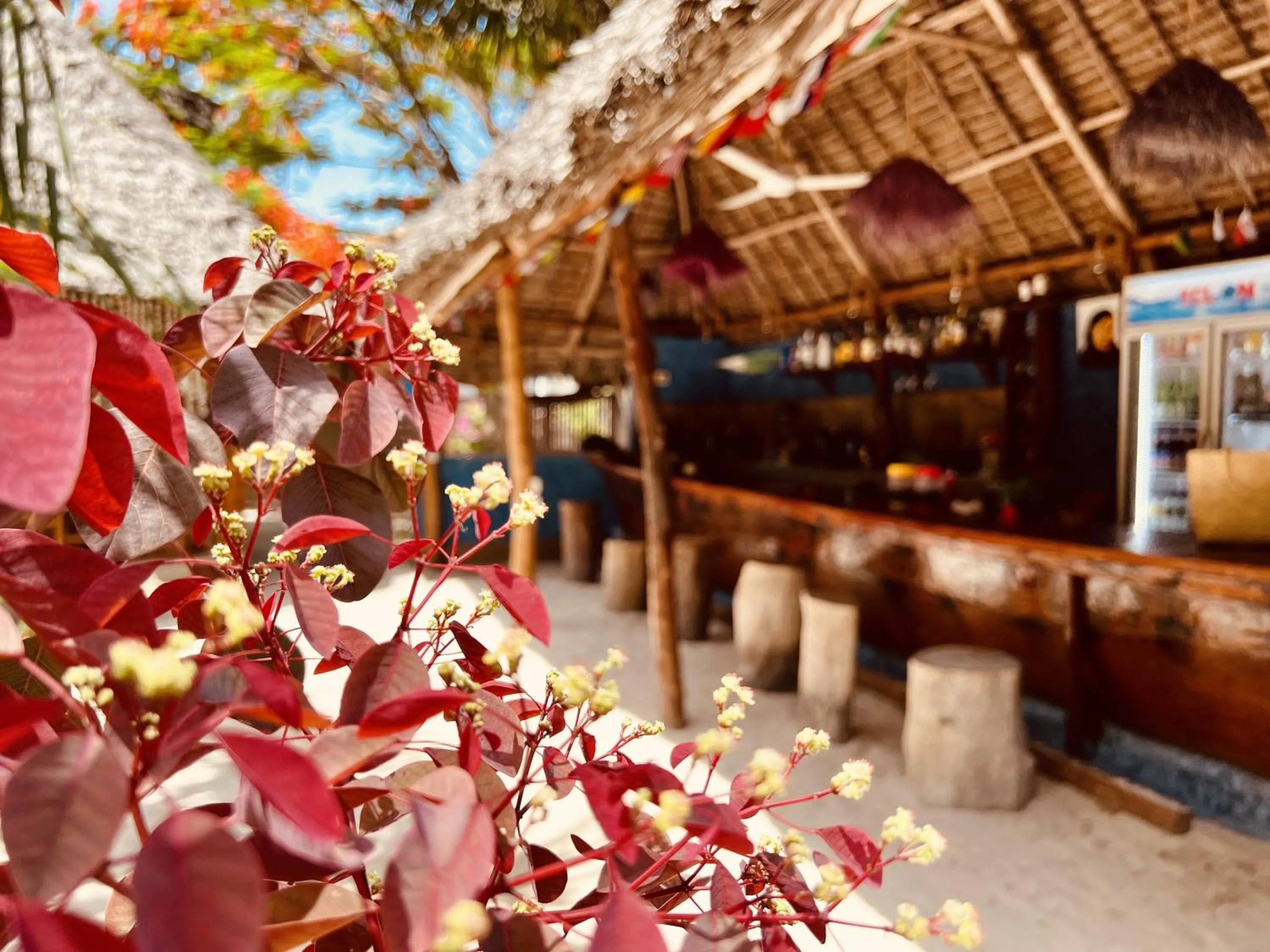 Lounge or bar in Mpole Bungalows