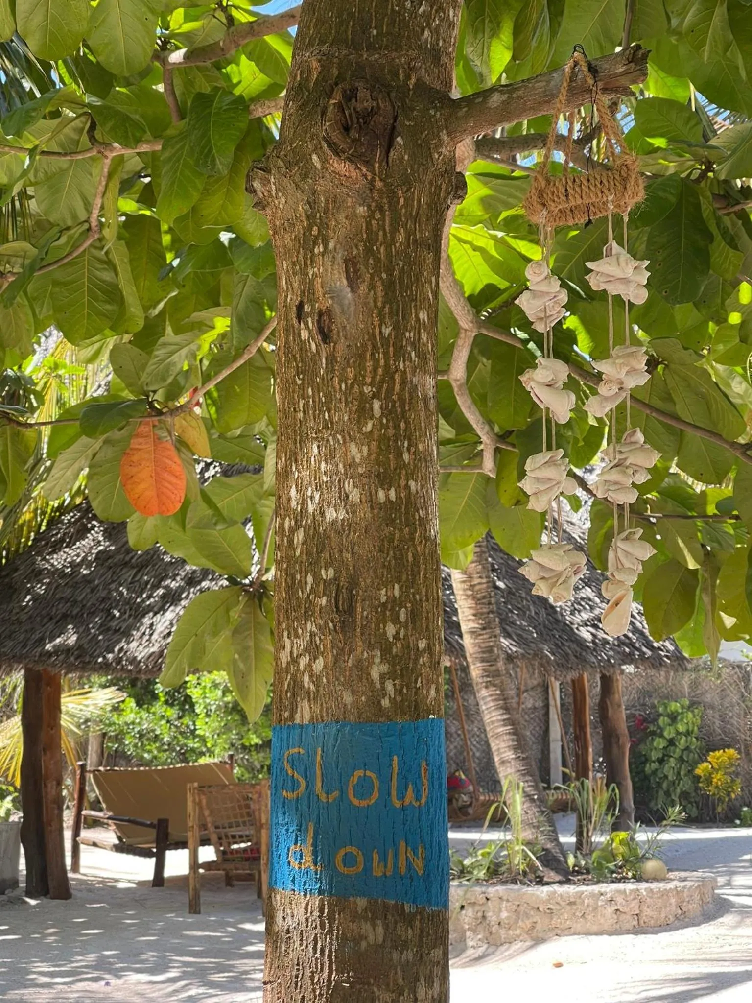 Garden in Mpole Bungalows