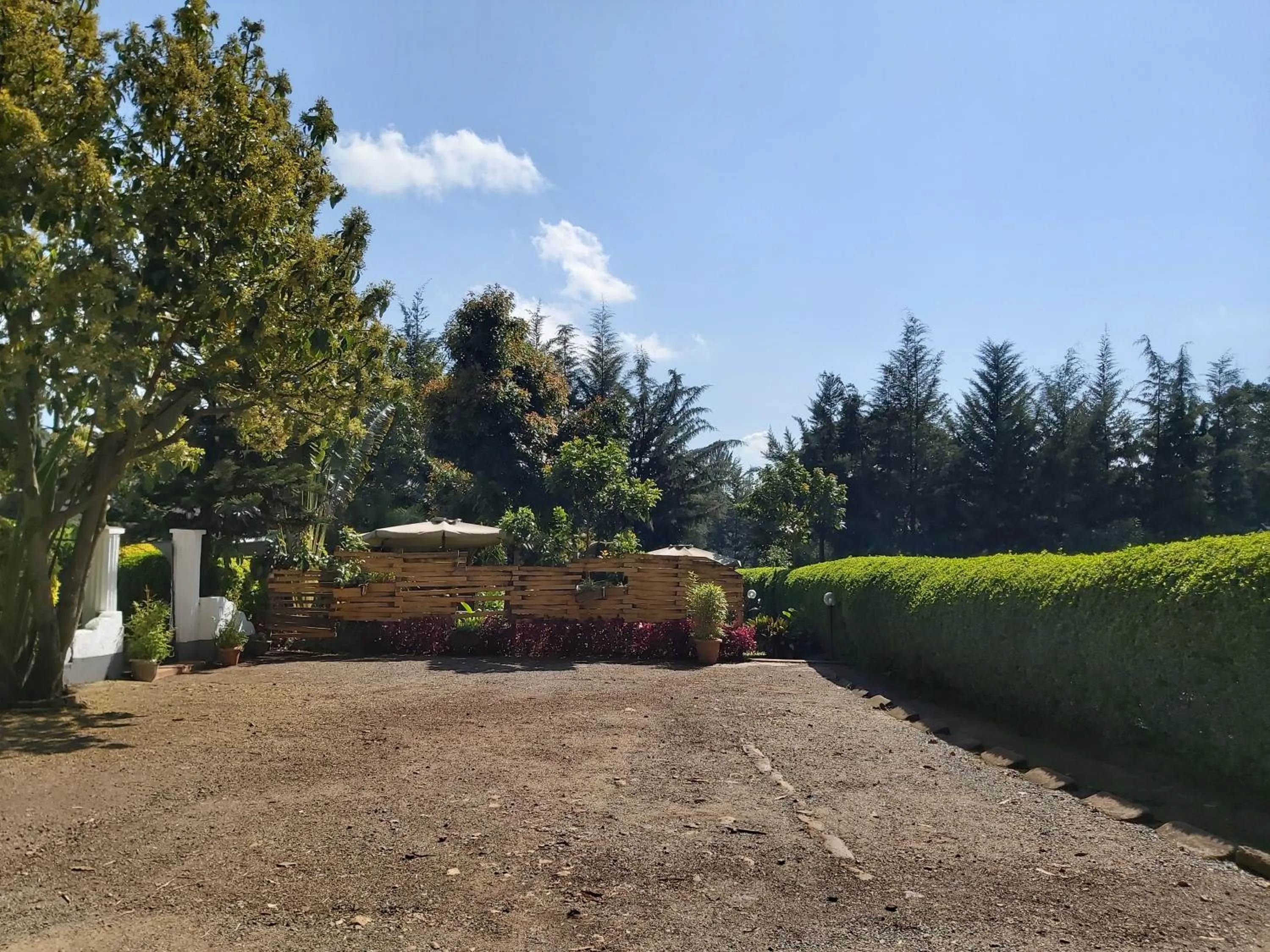 Sahara Gardens-Kericho