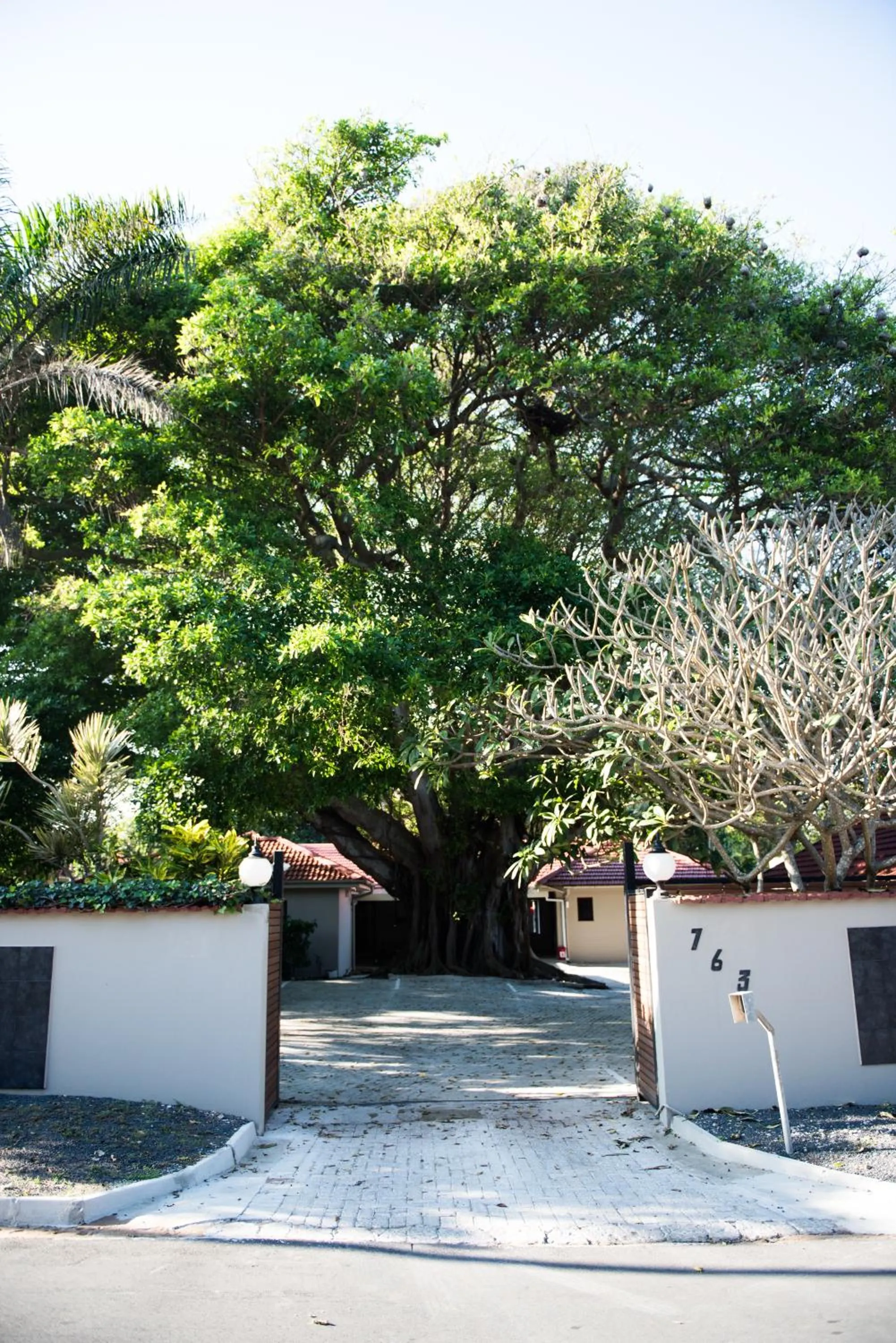 Tropical Beach Boutique Guesthouse