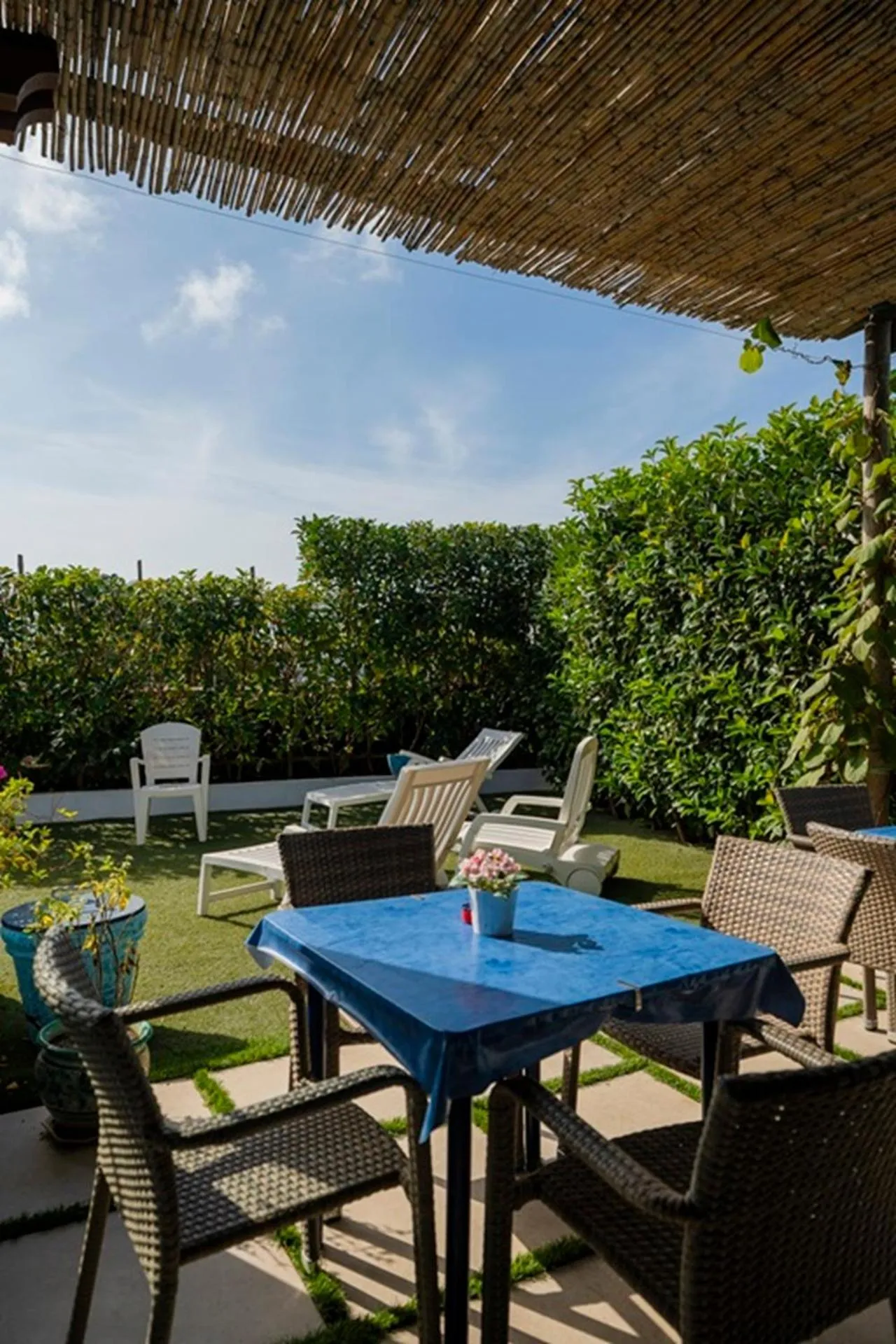 Garden in Capri Dreaming