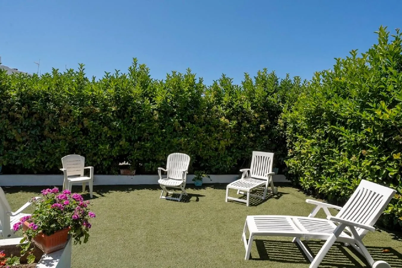 Garden in Capri Dreaming