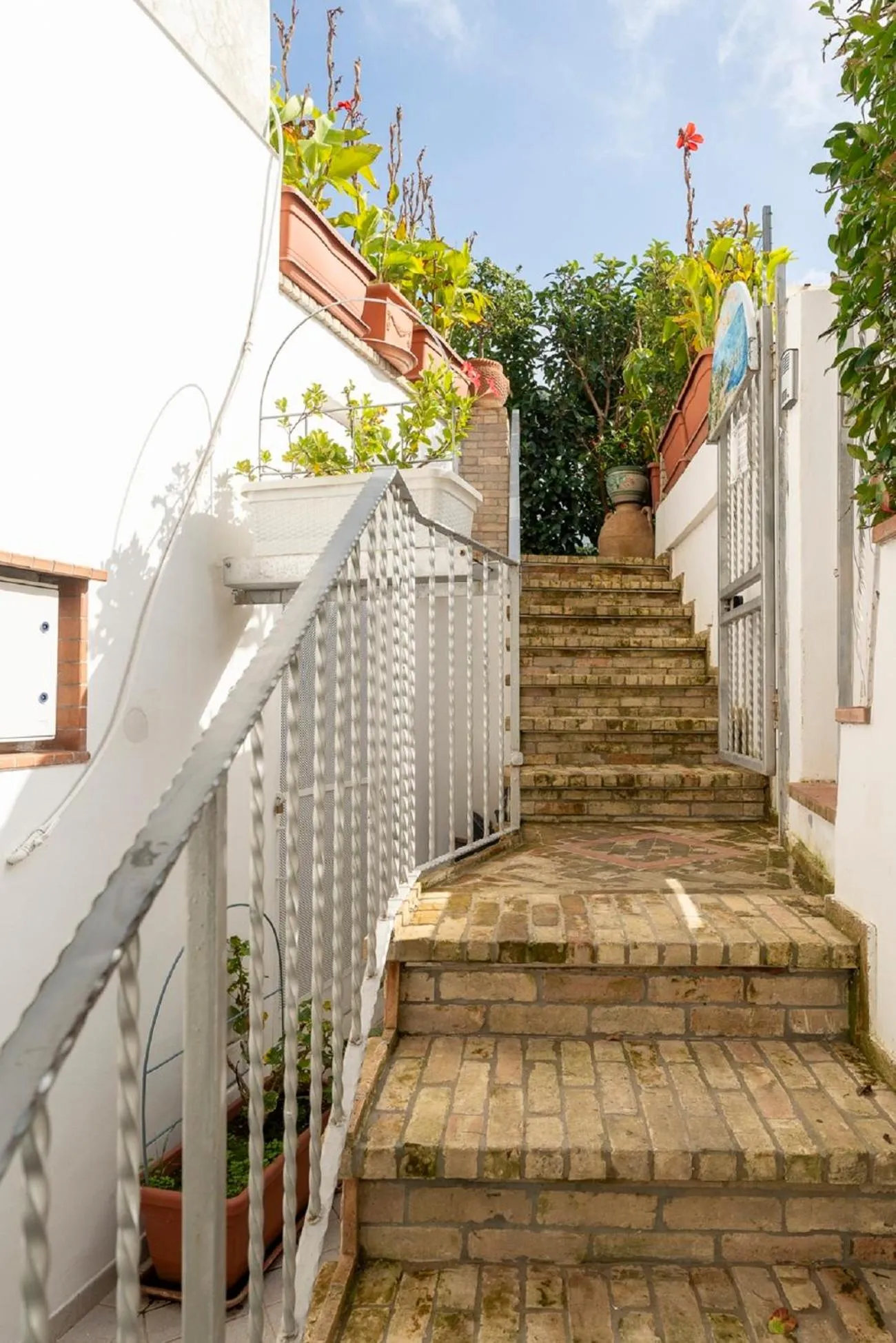 Garden in Capri Dreaming