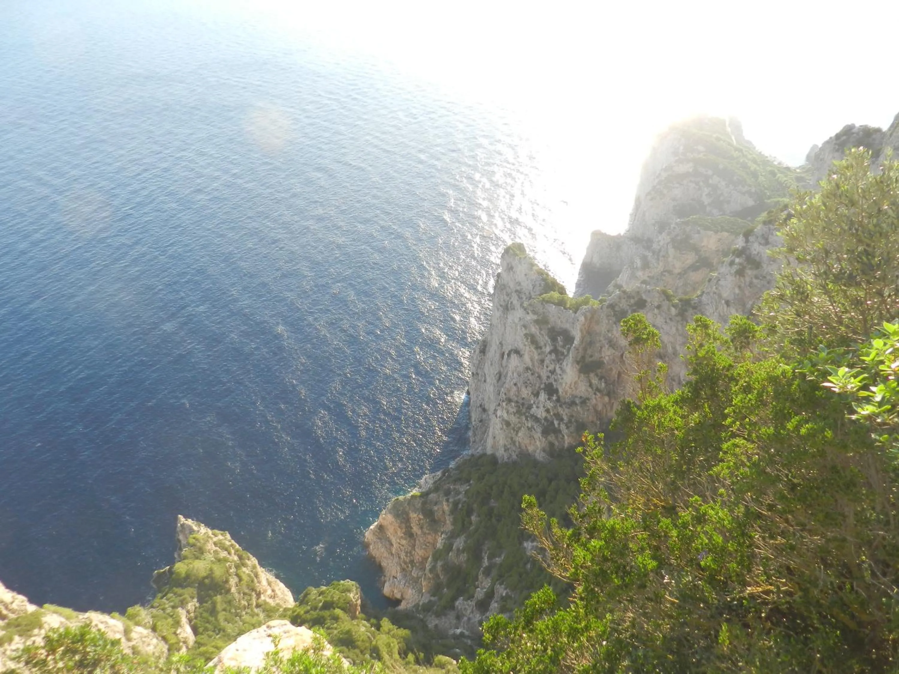 Natural landscape in Capri Dreaming
