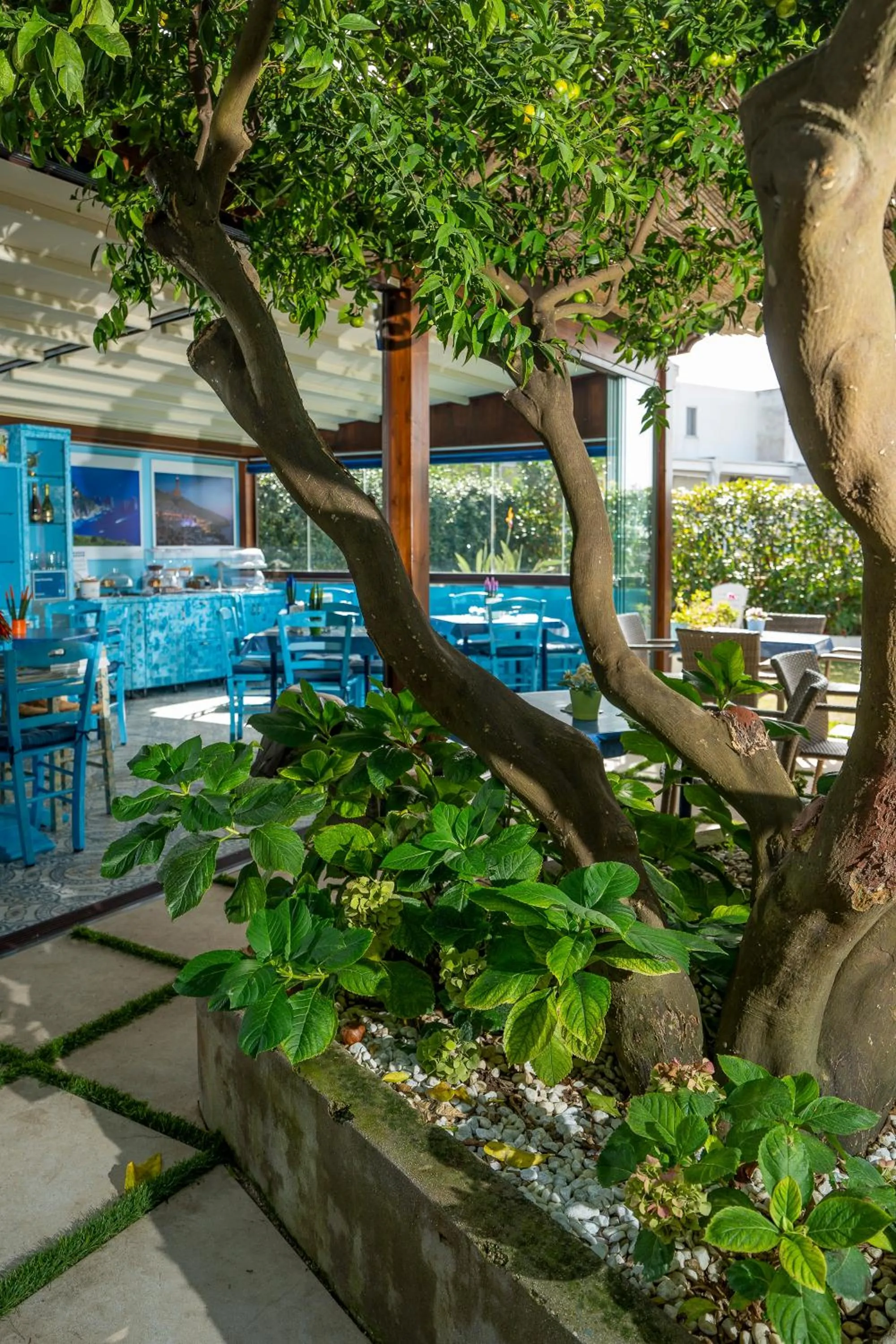 Garden in Capri Dreaming