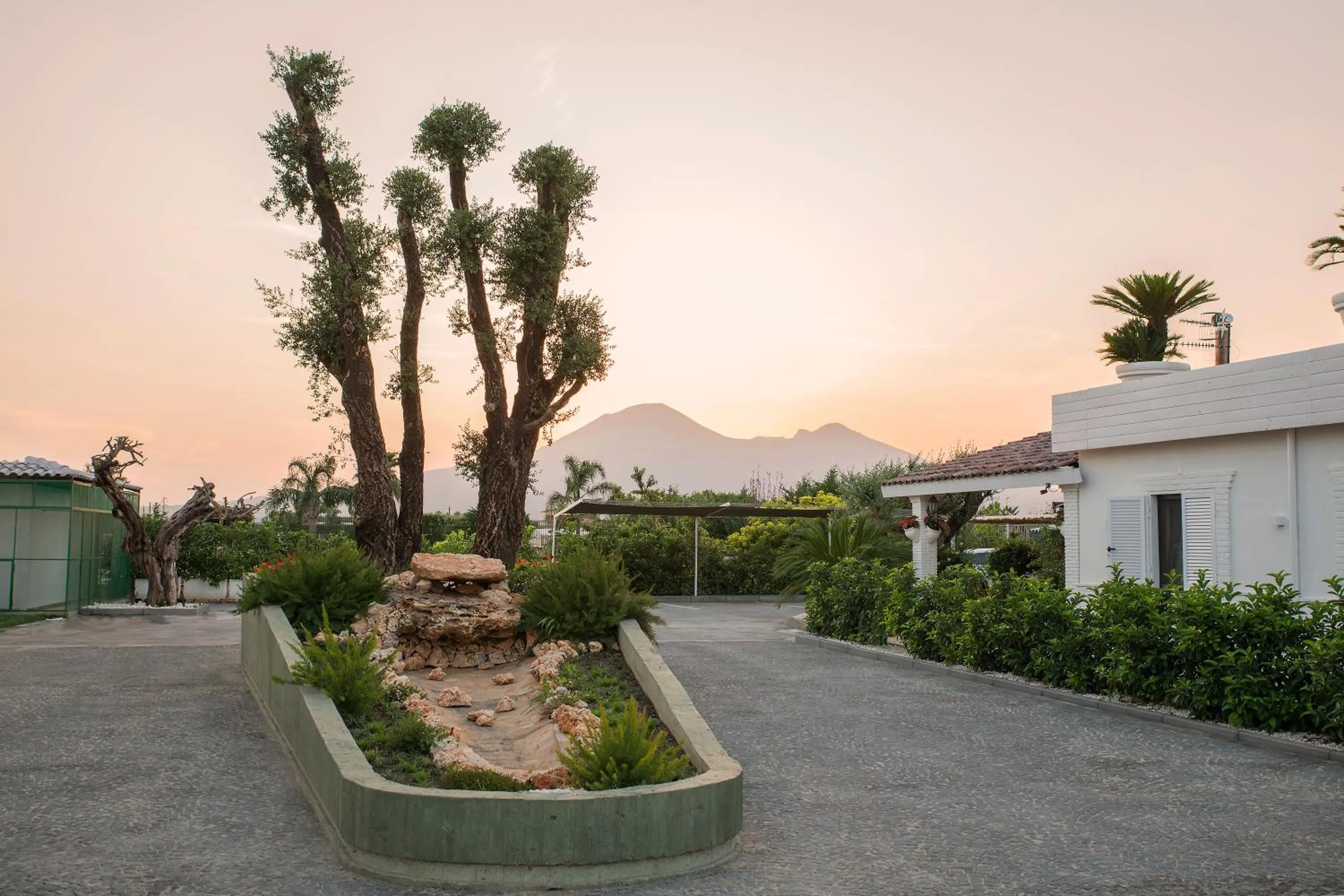 Area and facilities in Hotel America