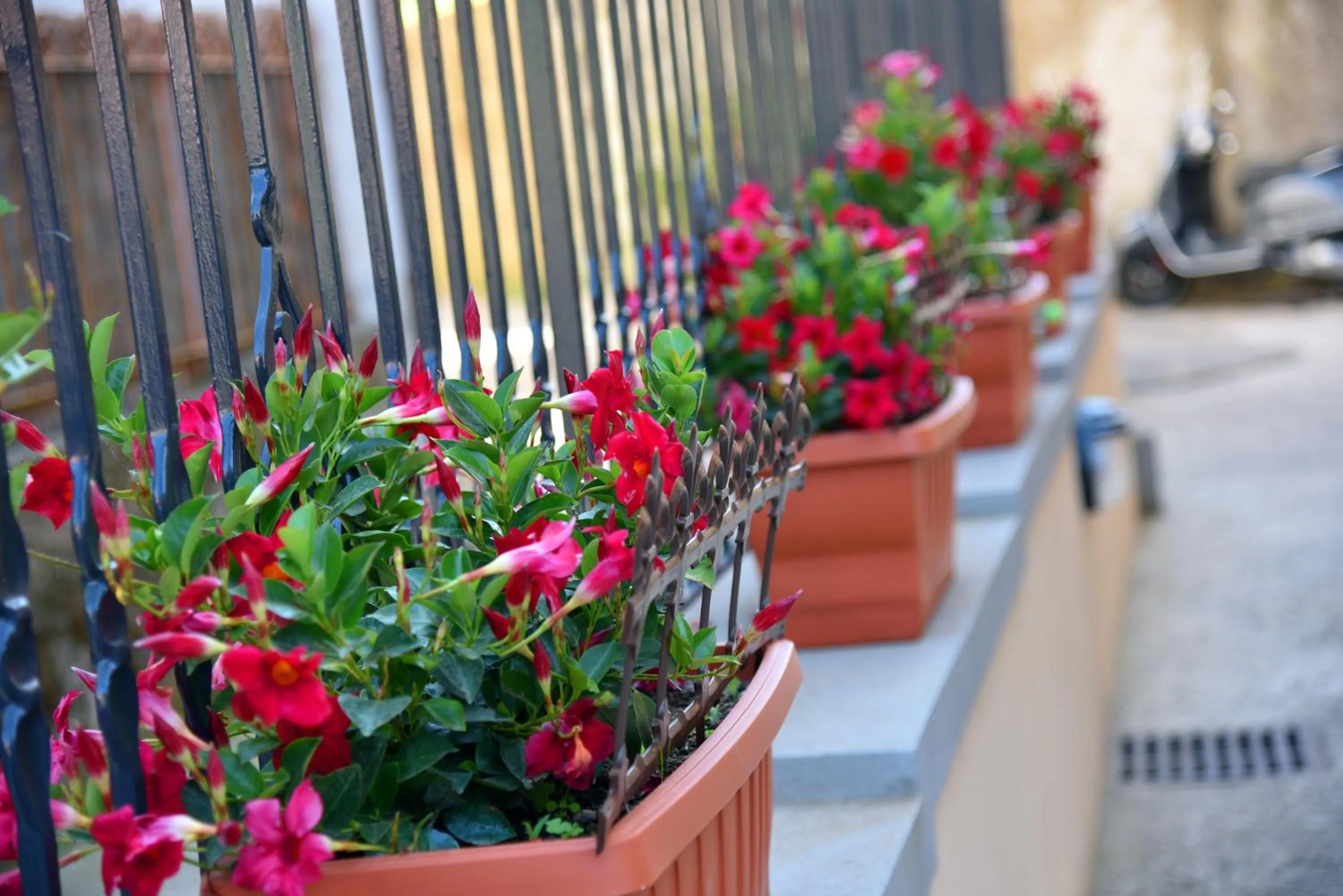 Balcony/Terrace in Casa Gentile