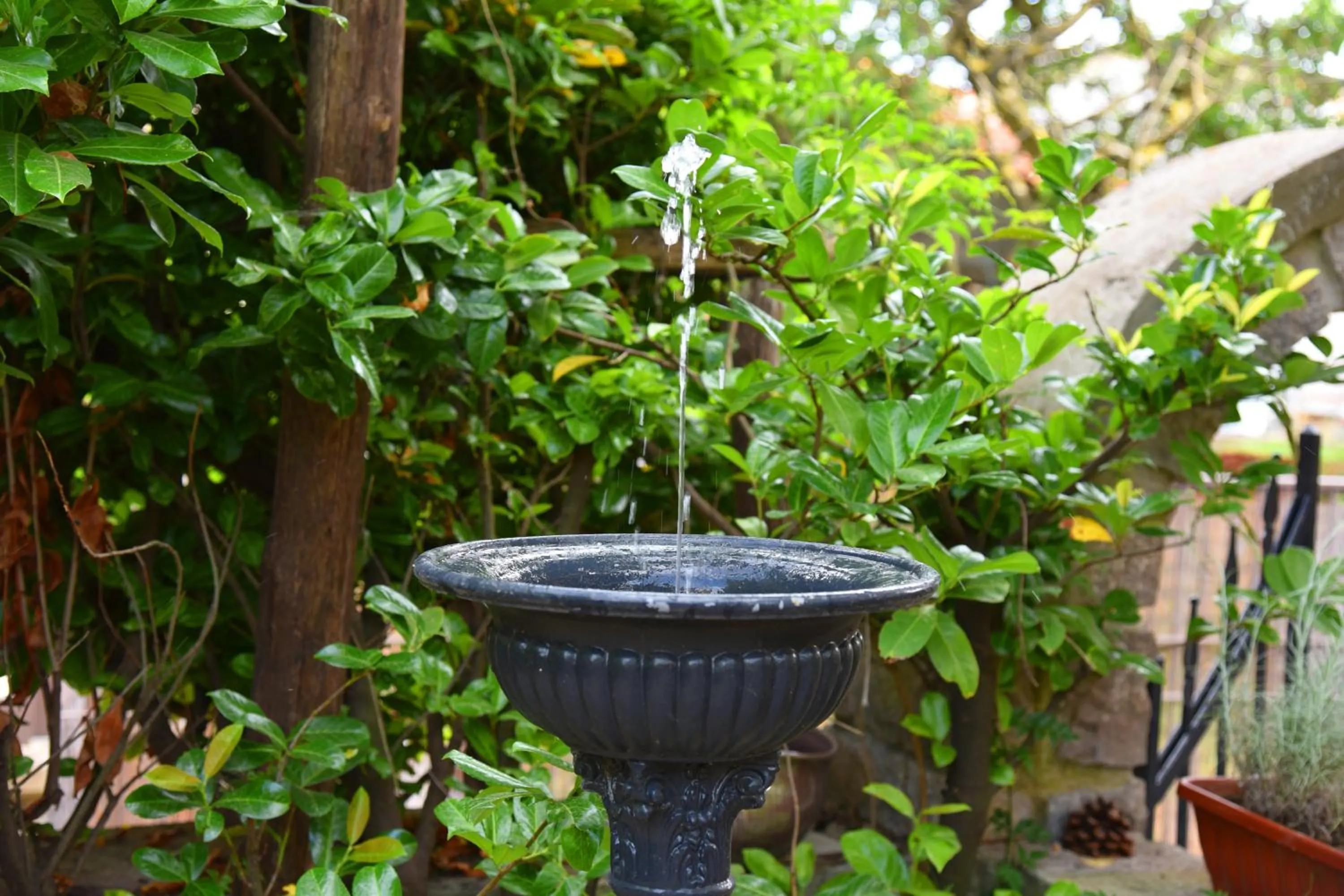 Garden in Casa Gentile