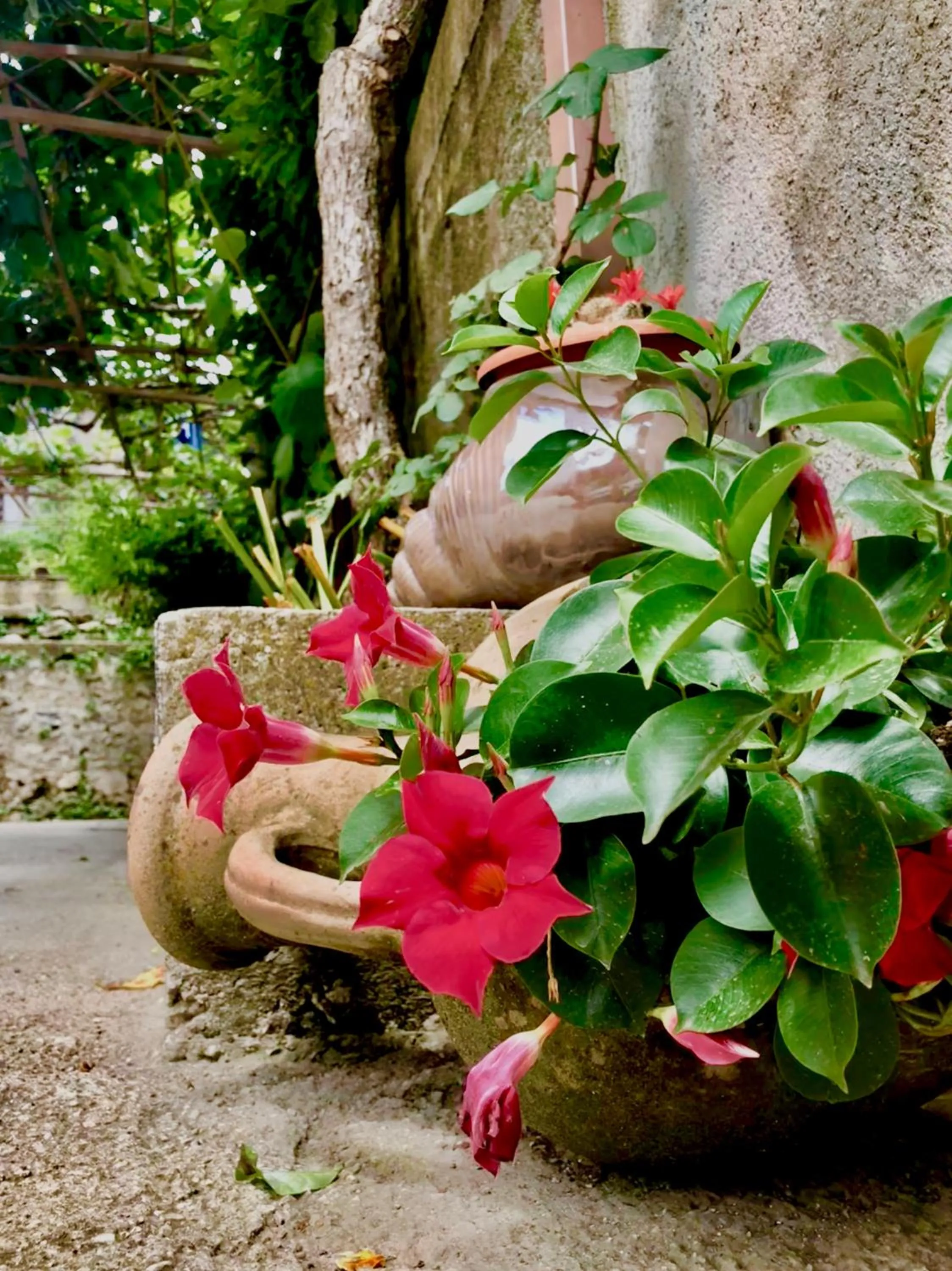 Decorative detail in Casa Gentile