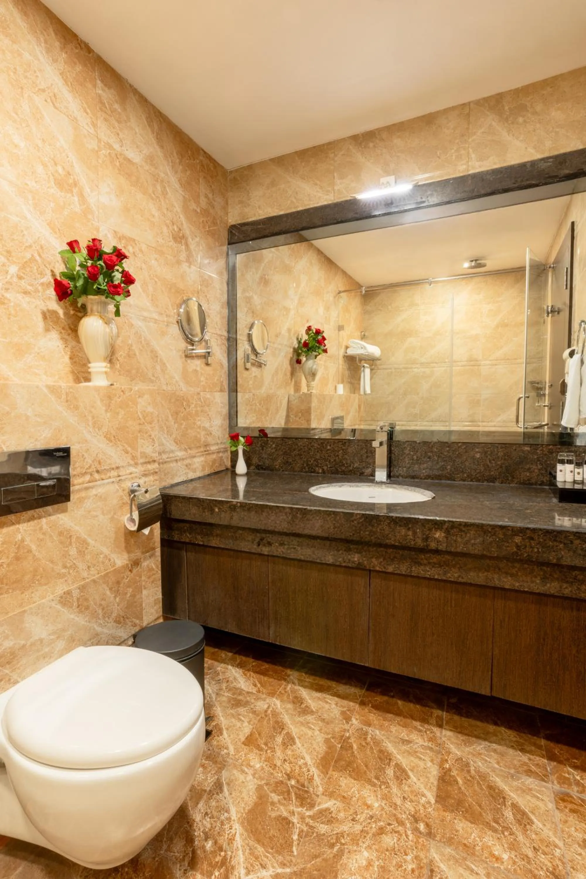 Hotel Patliputra Continental