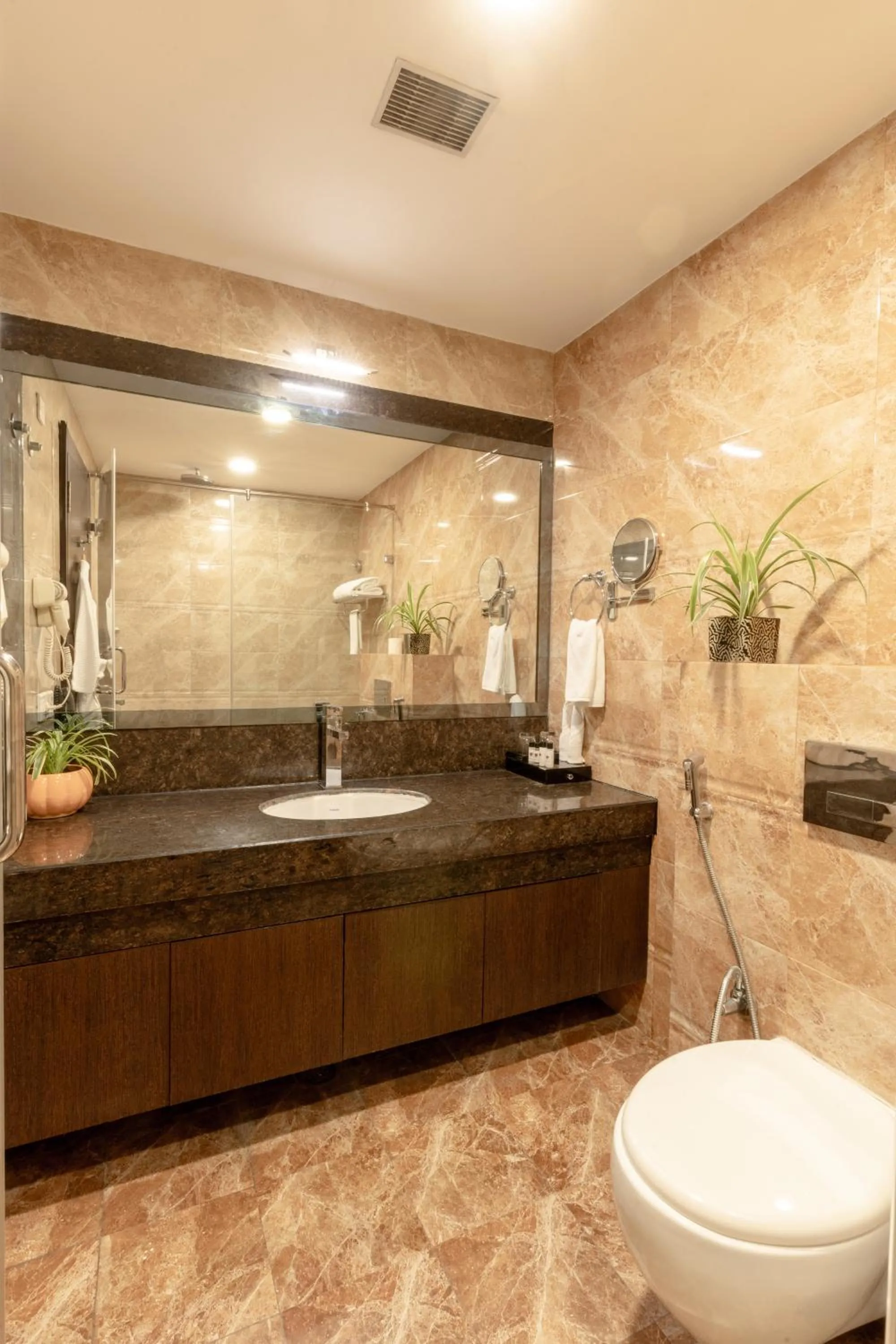 Hotel Patliputra Continental