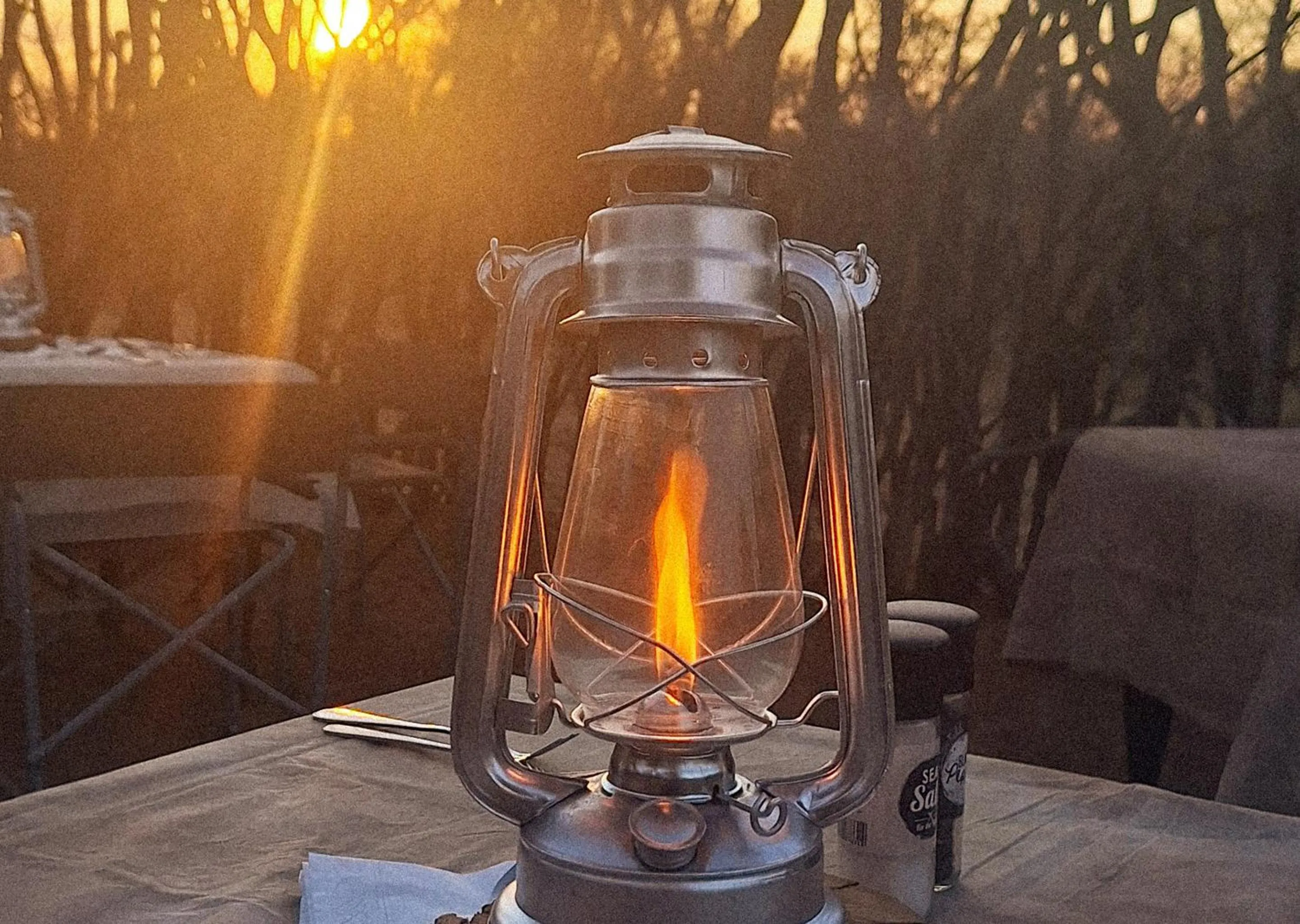 Day in Finfoot Lake Reserve by Dream Resorts