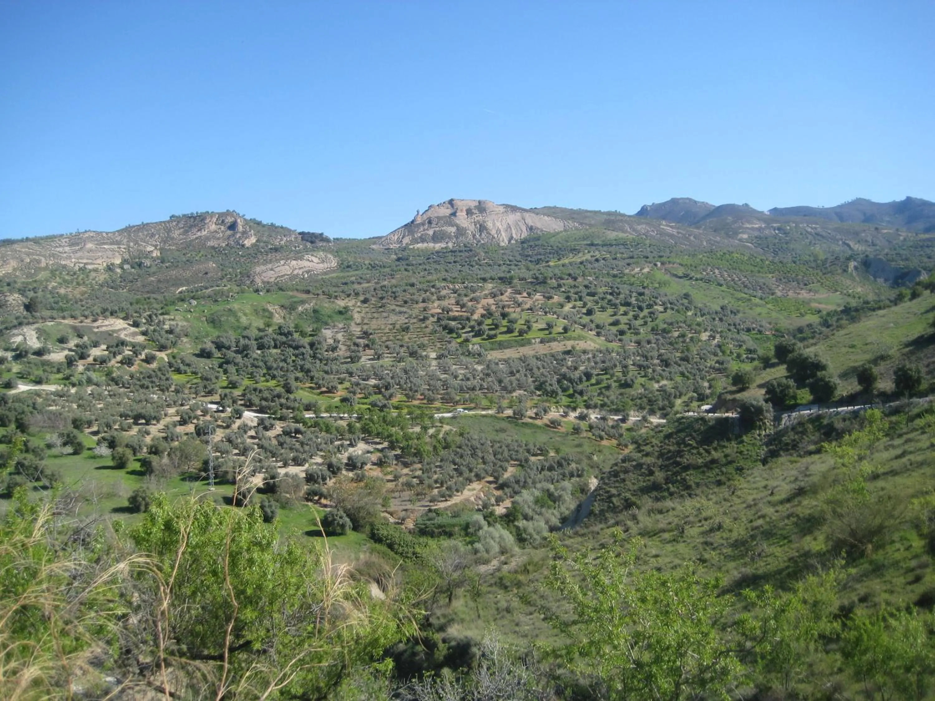 Area and facilities in Quéntar Hotel Rural