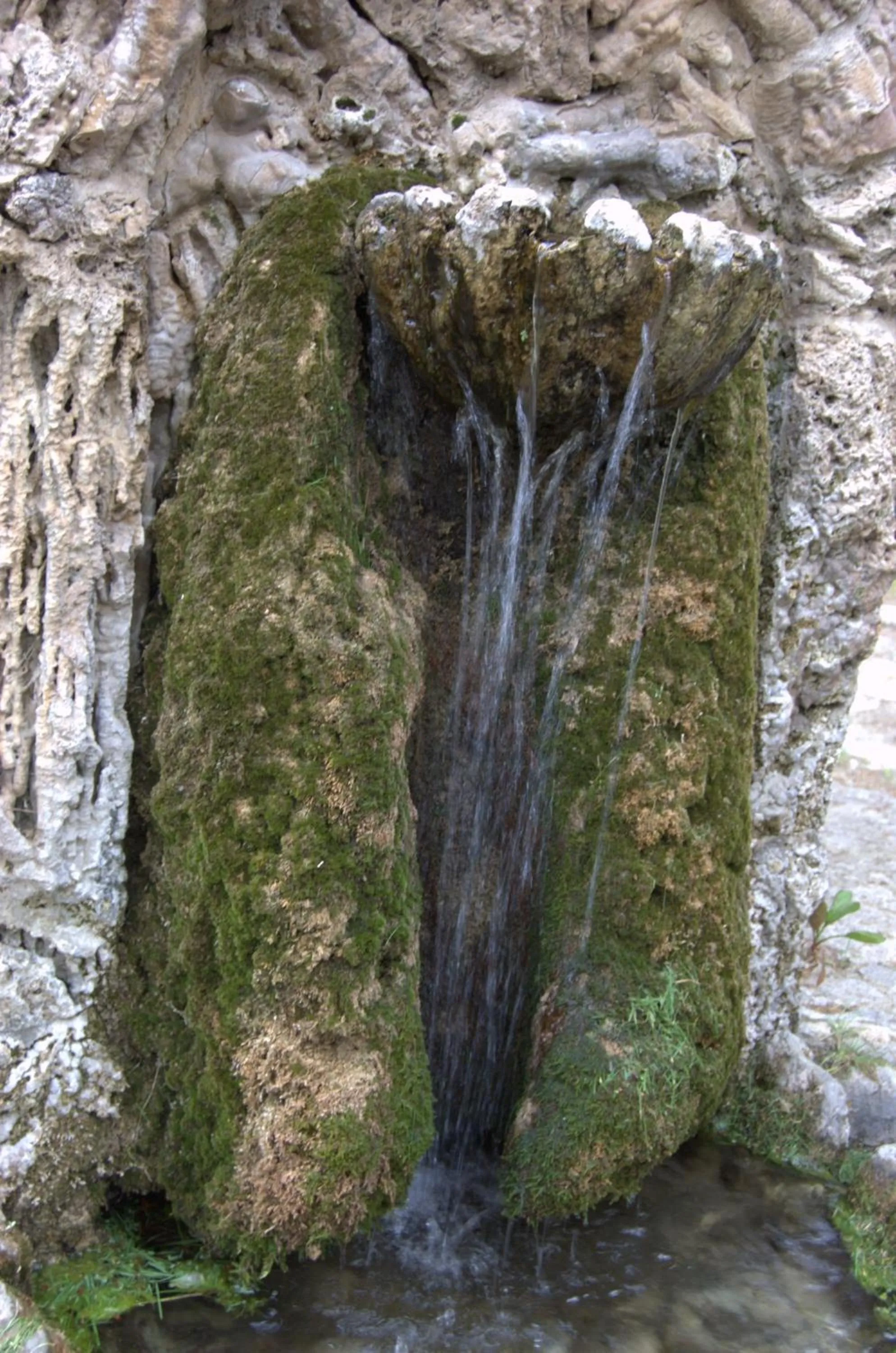 Area and facilities in Quéntar Hotel Rural