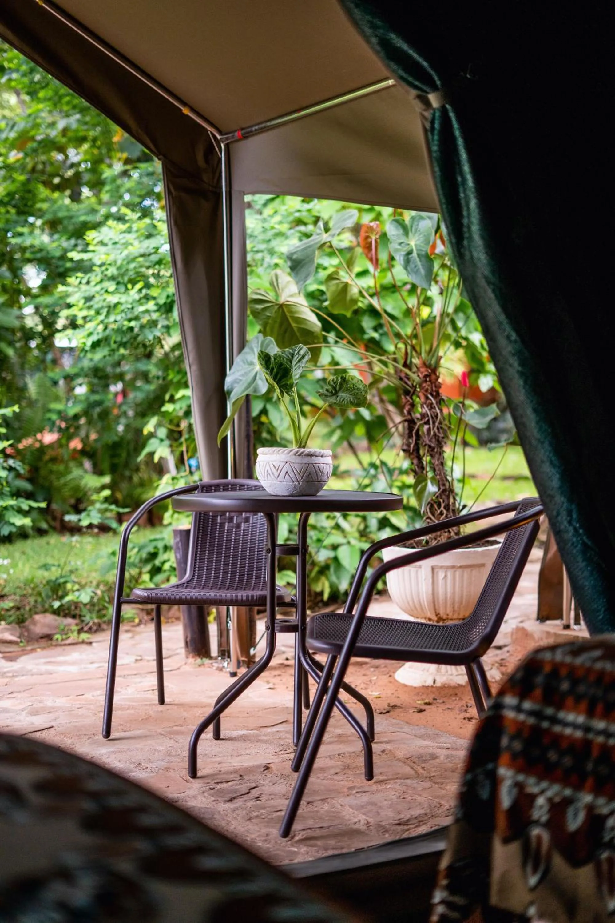 Garden in Victoria Falls Backpackers Lodge