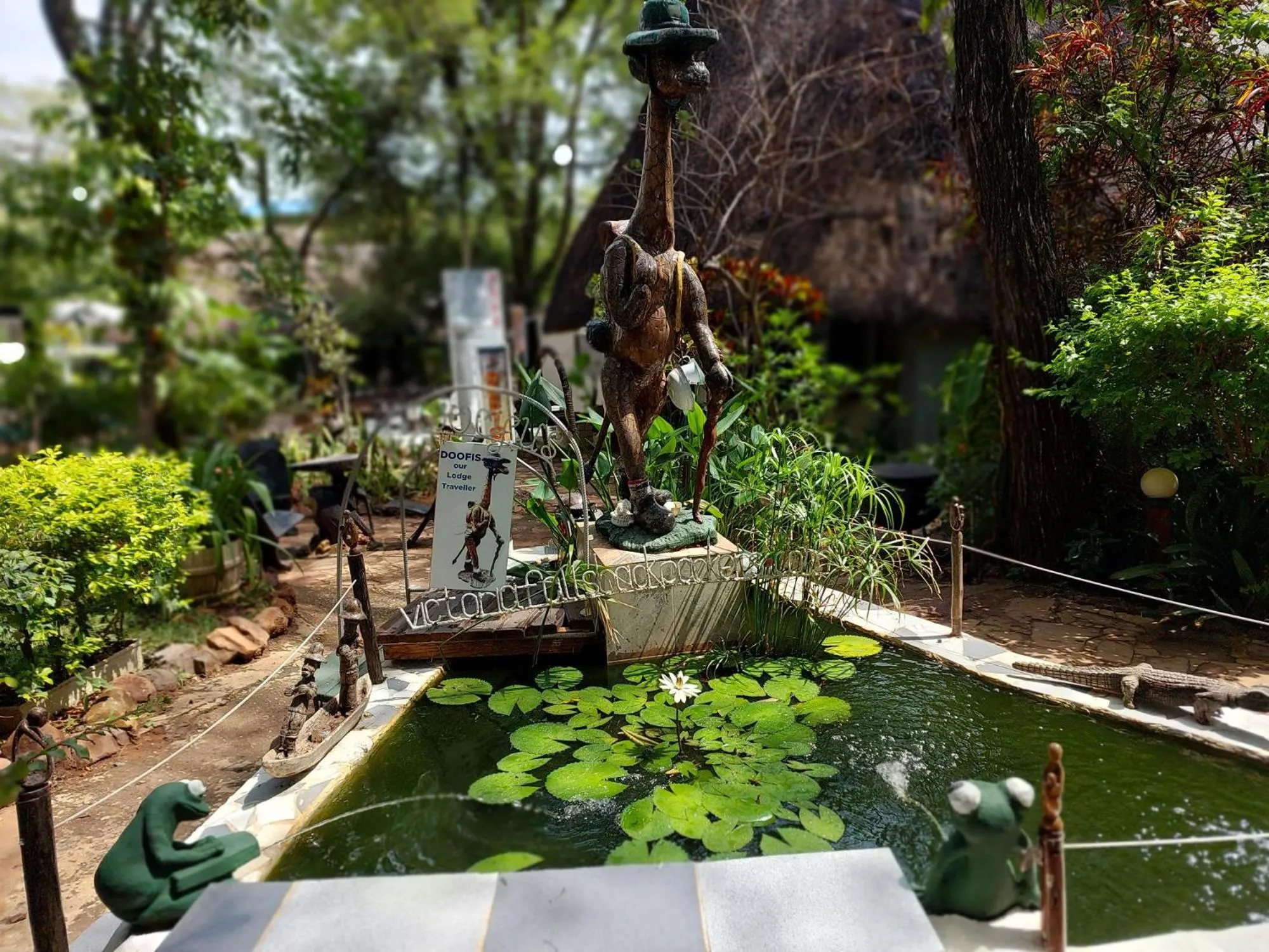 Garden in Victoria Falls Backpackers Lodge