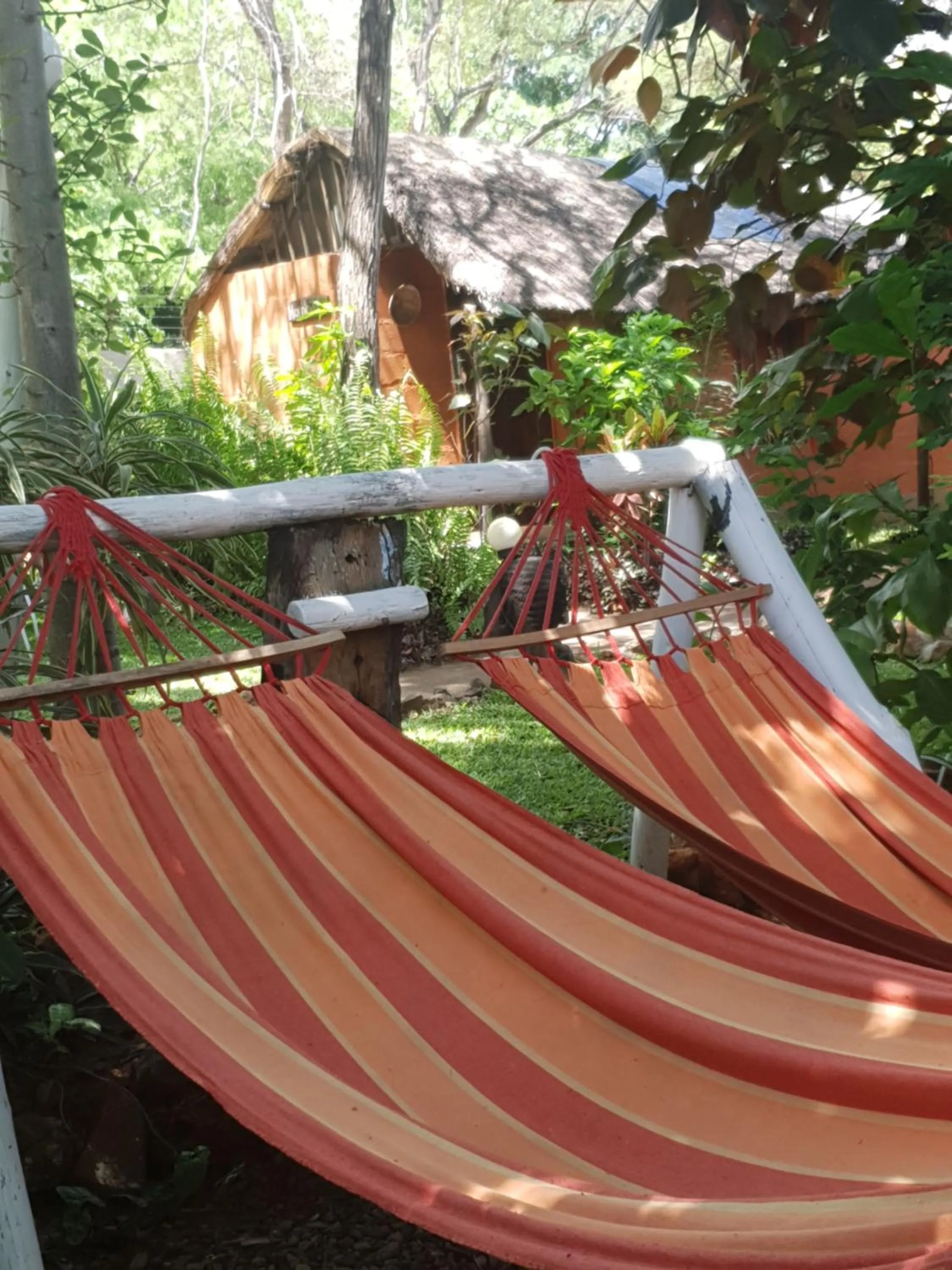 Spa and wellness centre/facilities in Victoria Falls Backpackers Lodge