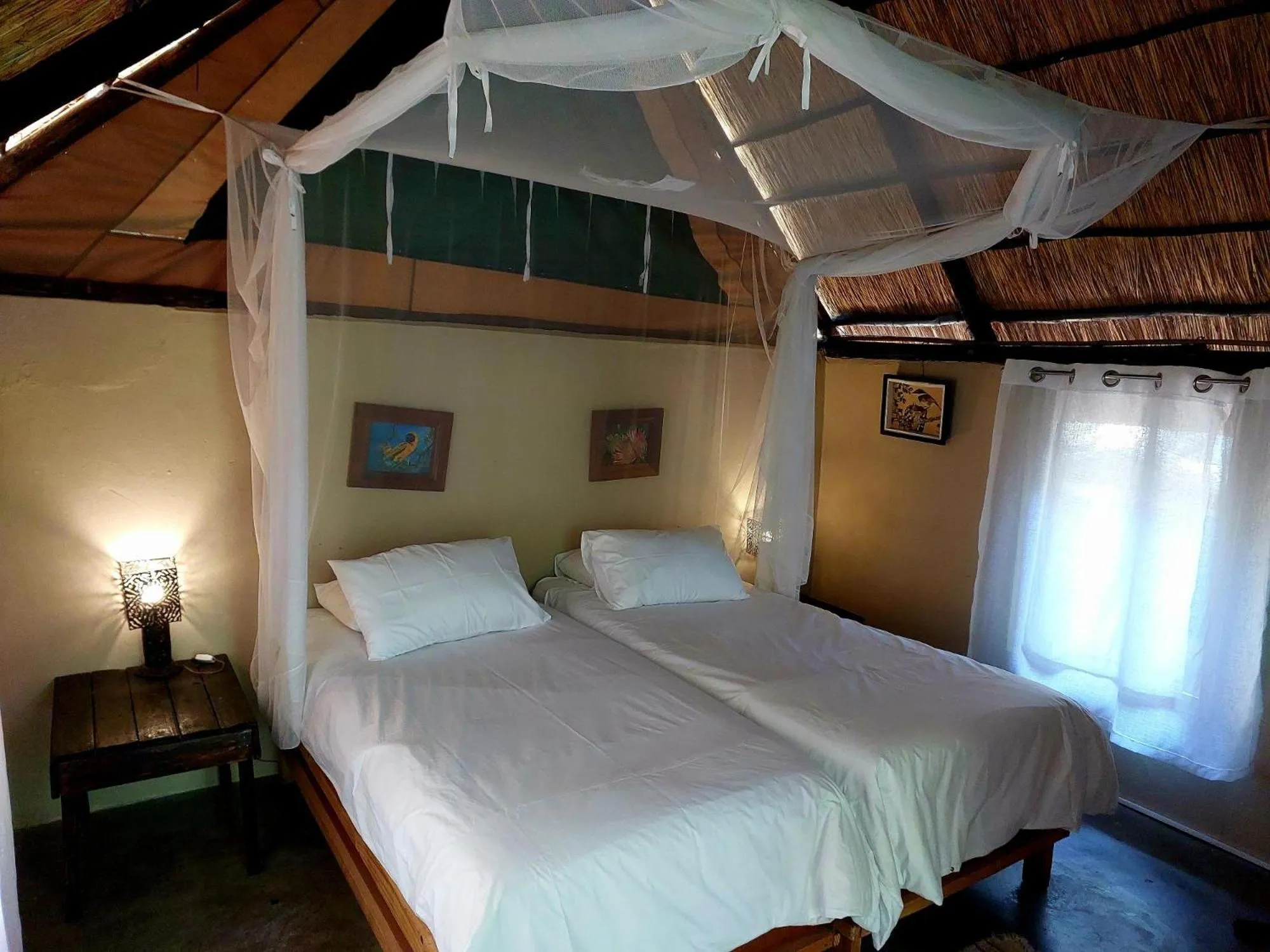 Property building, Bed in Victoria Falls Backpackers Lodge