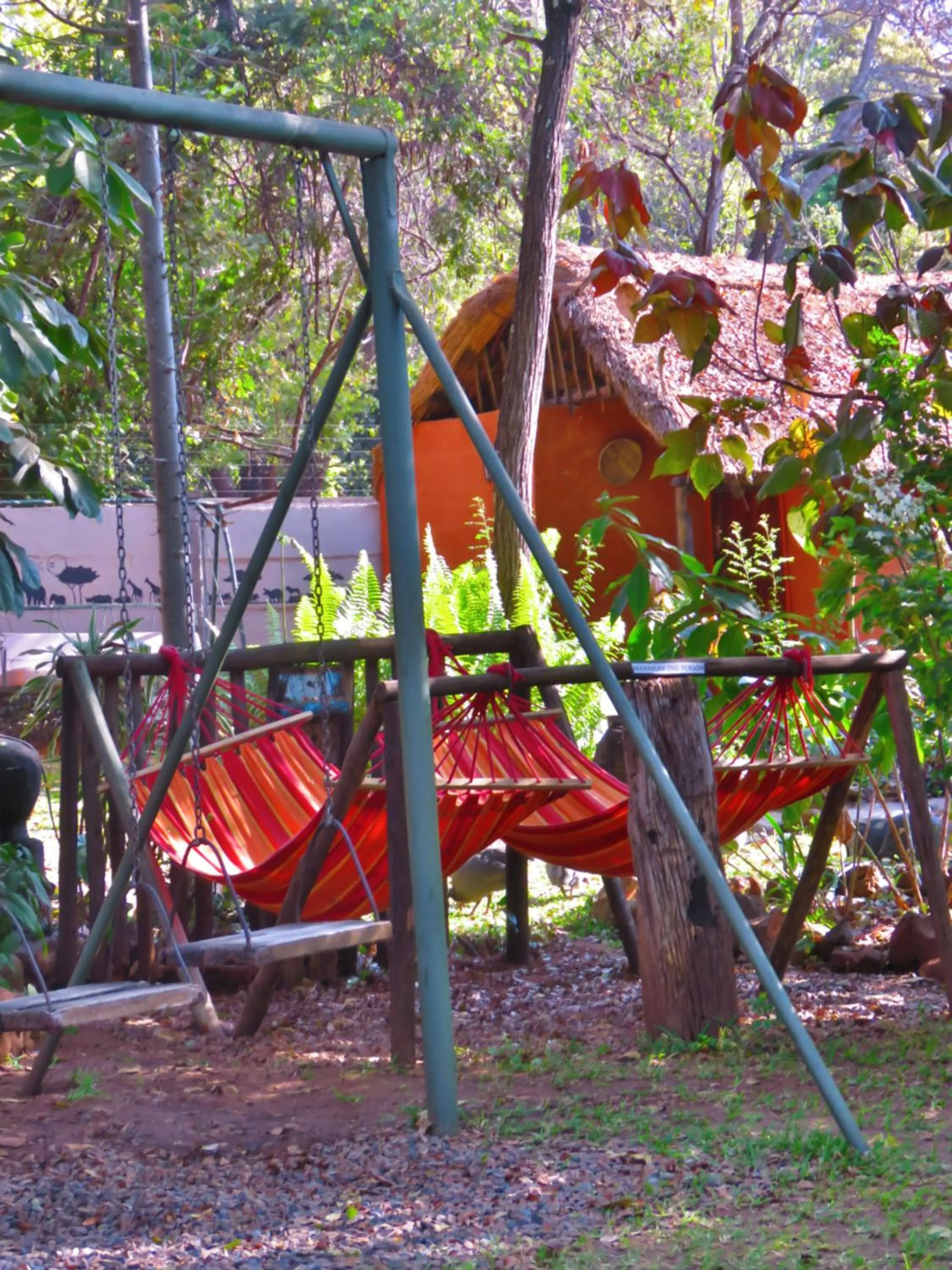 Property building in Victoria Falls Backpackers Lodge