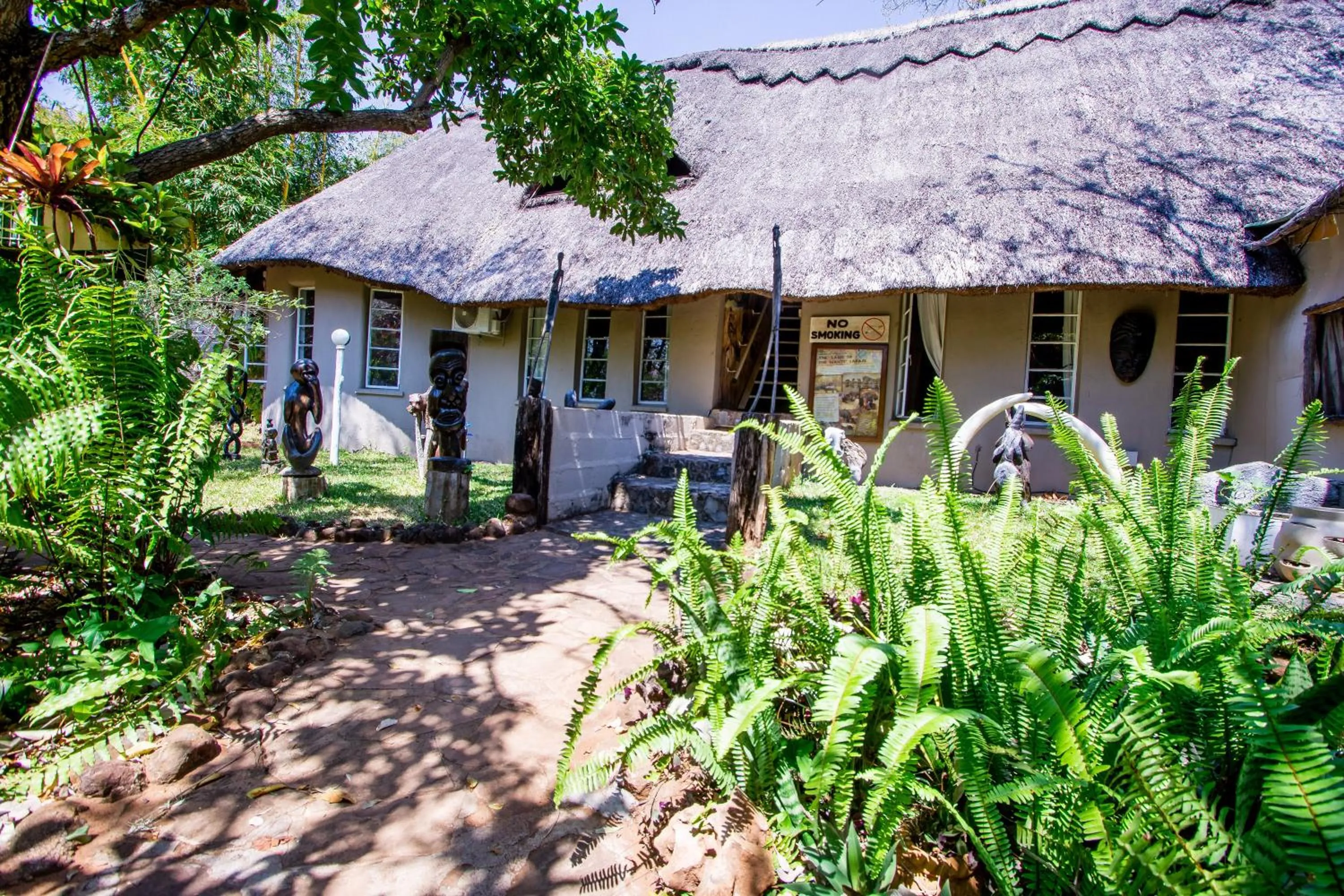 Property building in Victoria Falls Backpackers Lodge