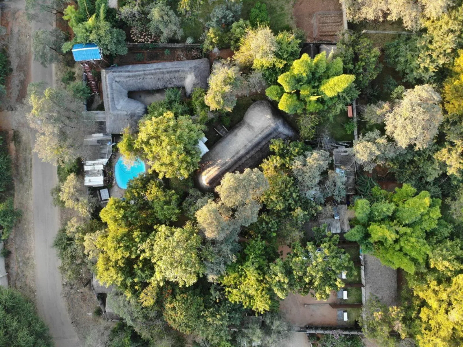 Garden view in Victoria Falls Backpackers Lodge