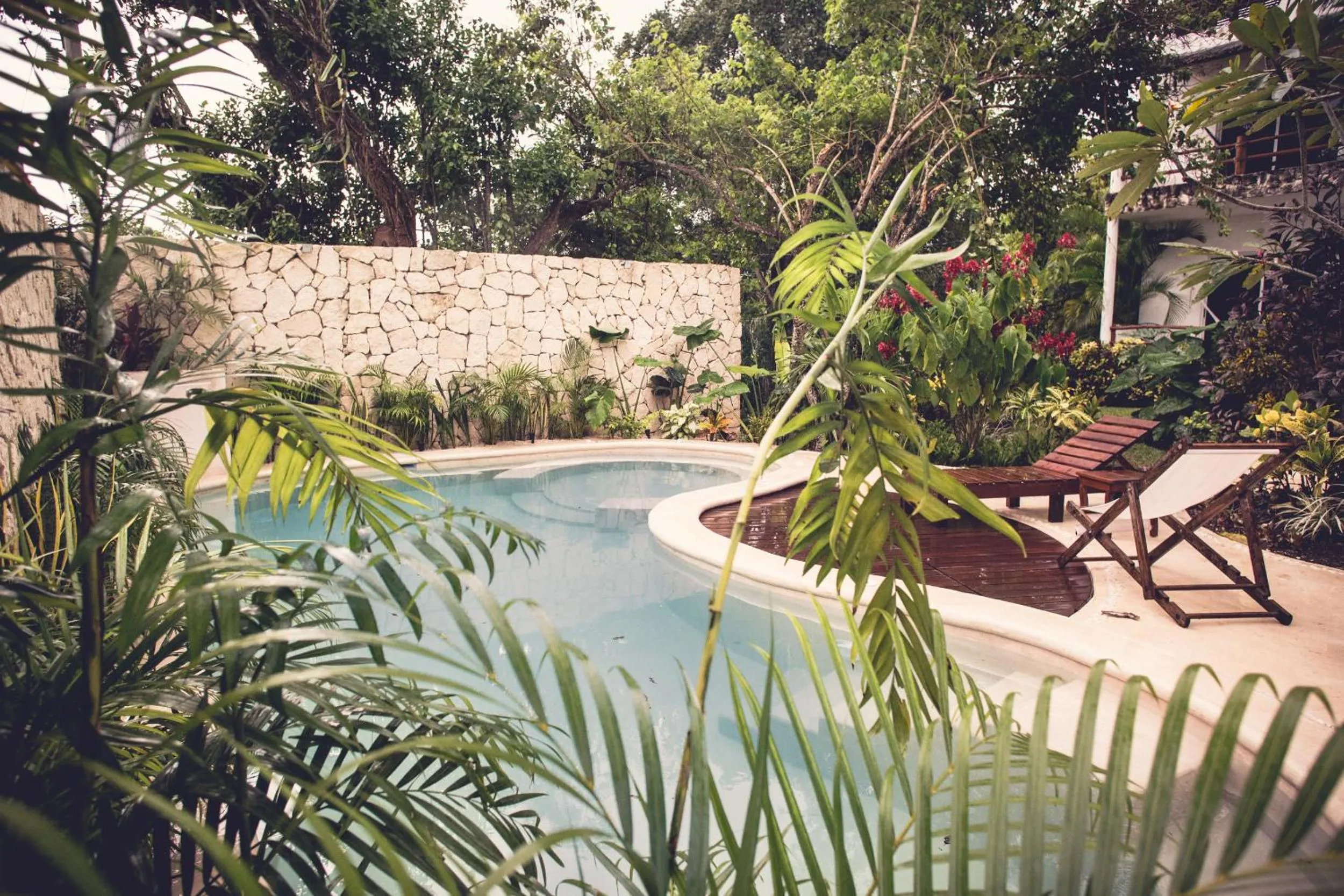 Garden in Hotel Aires Bacalar
