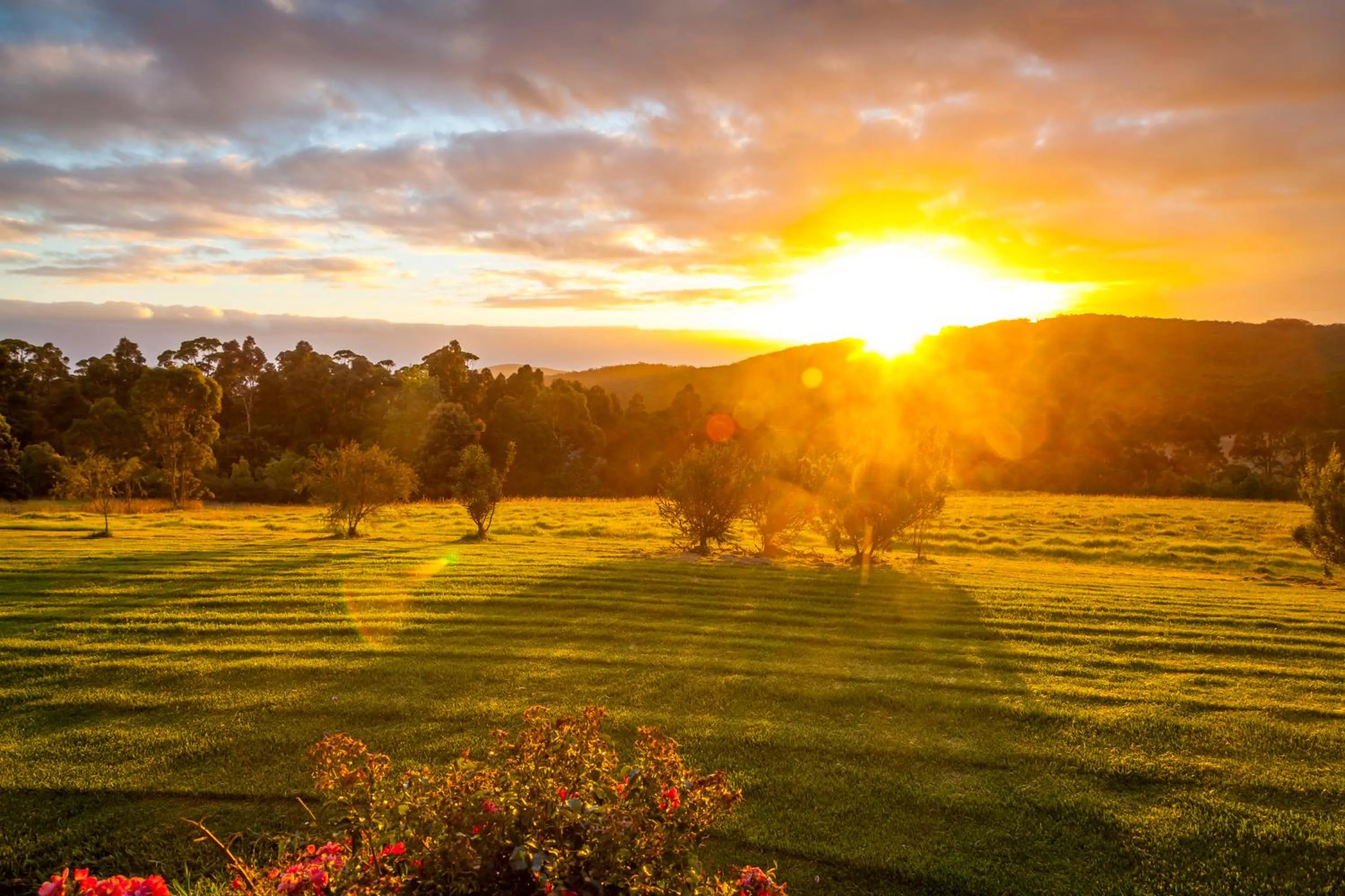 Mountain view in Karri Aura