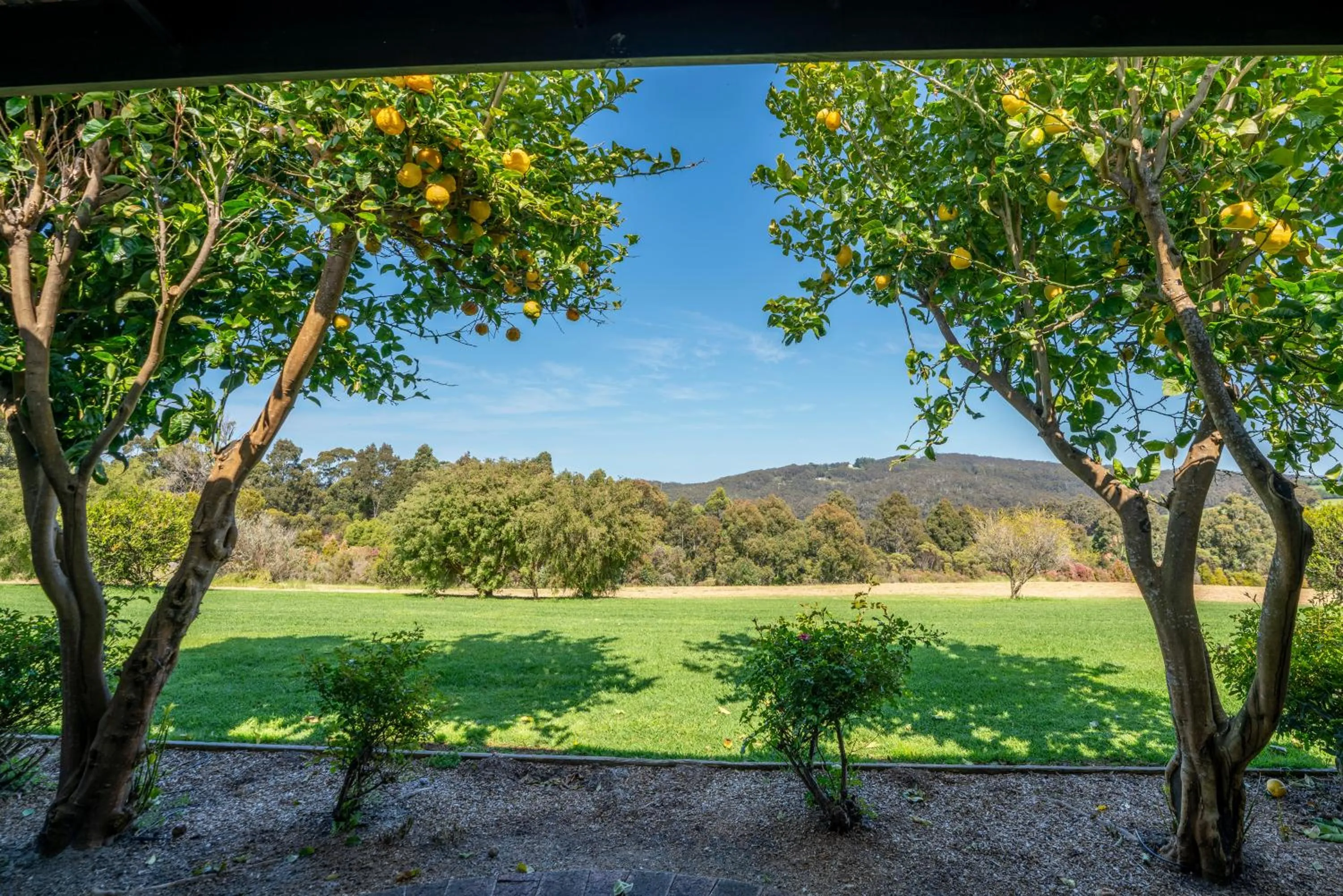 View (from property/room) in Karri Aura