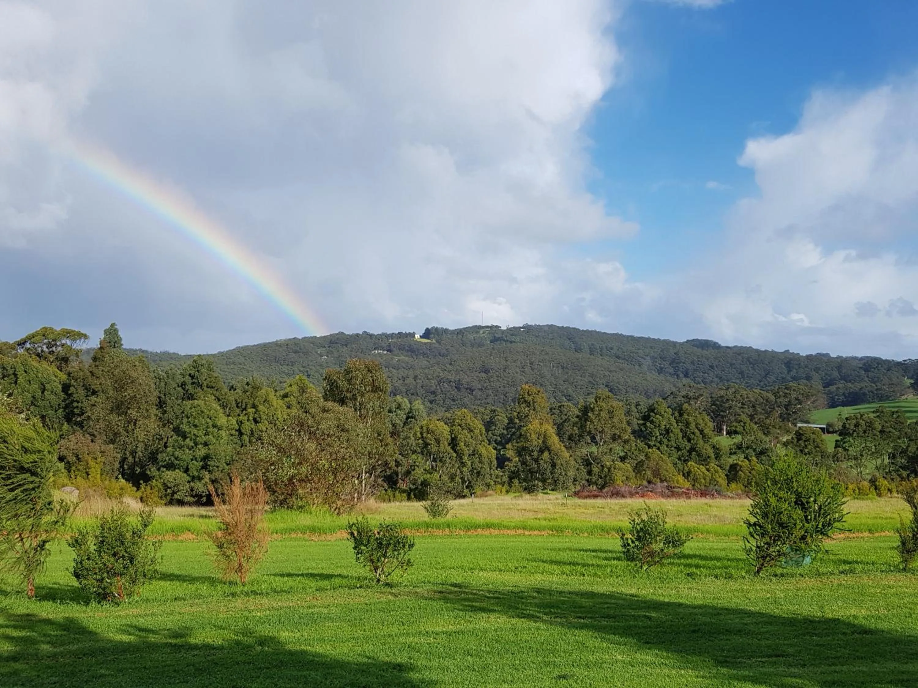Mountain view in Karri Aura