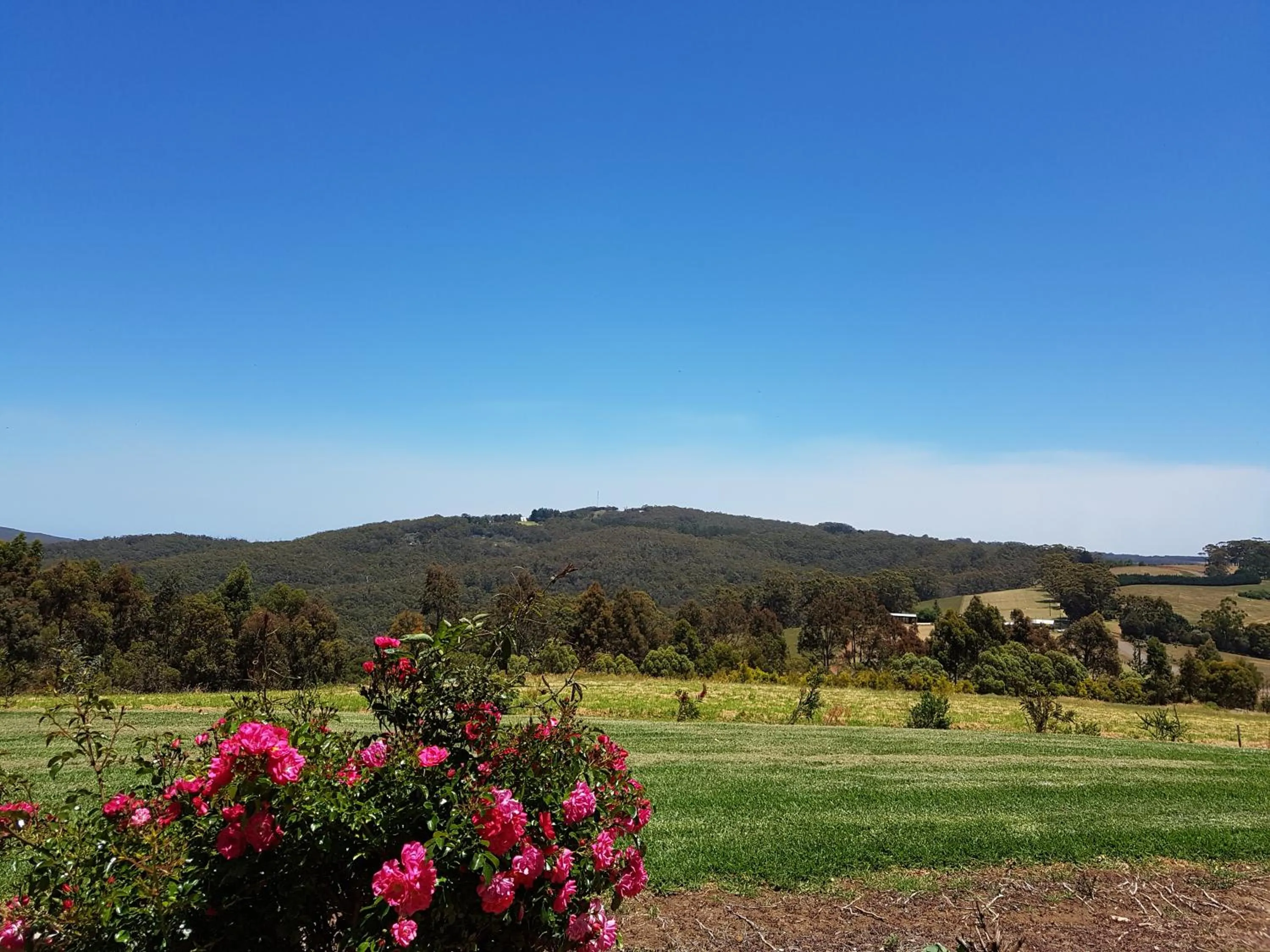 Mountain view in Karri Aura