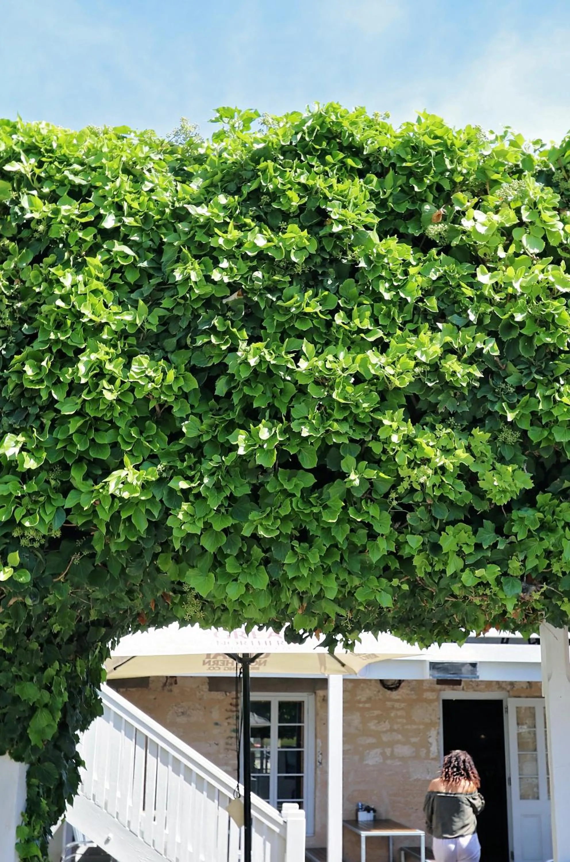 Property building in Caledonian Inn