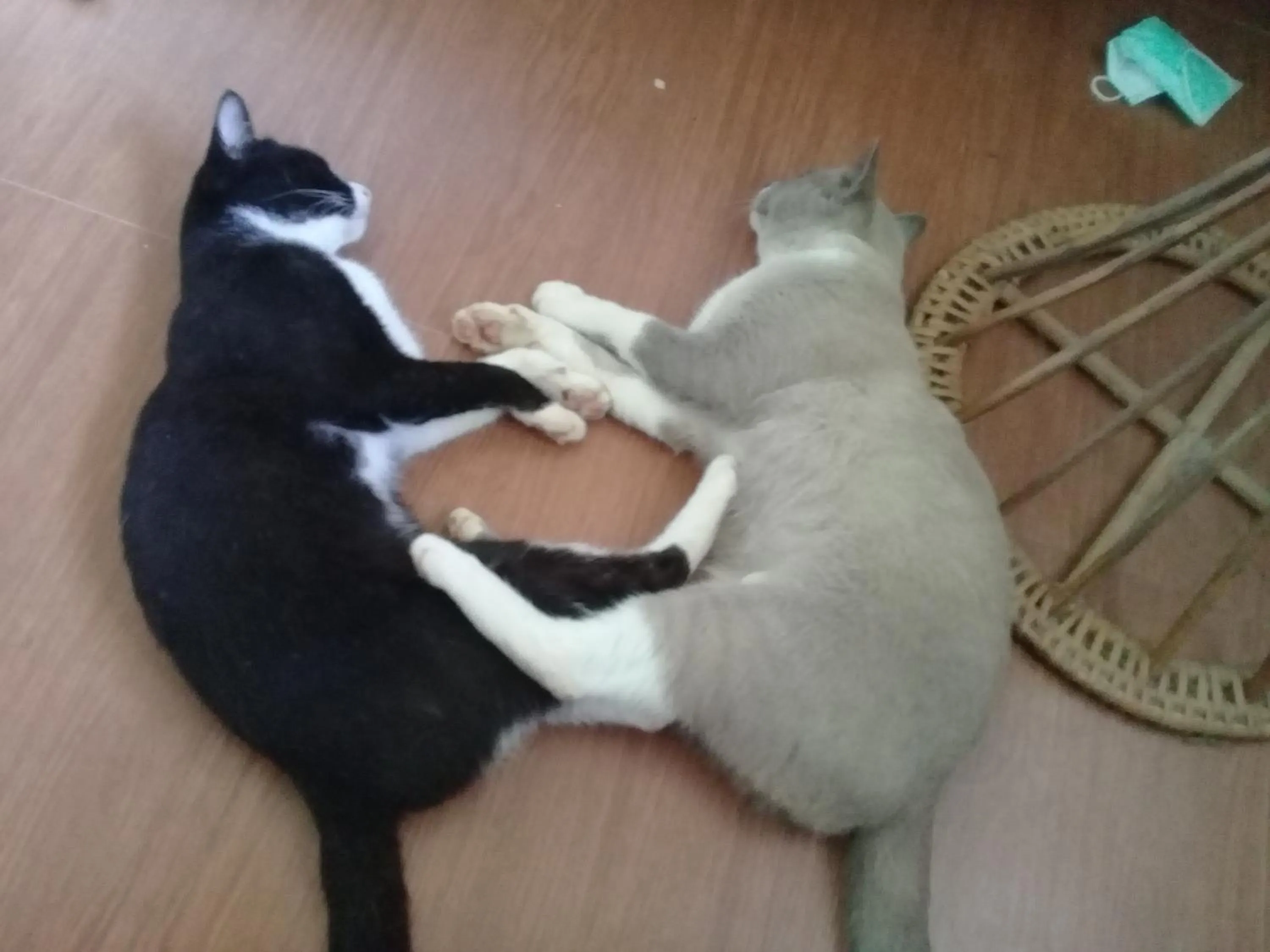 Baan Suan Jantra Home Stay