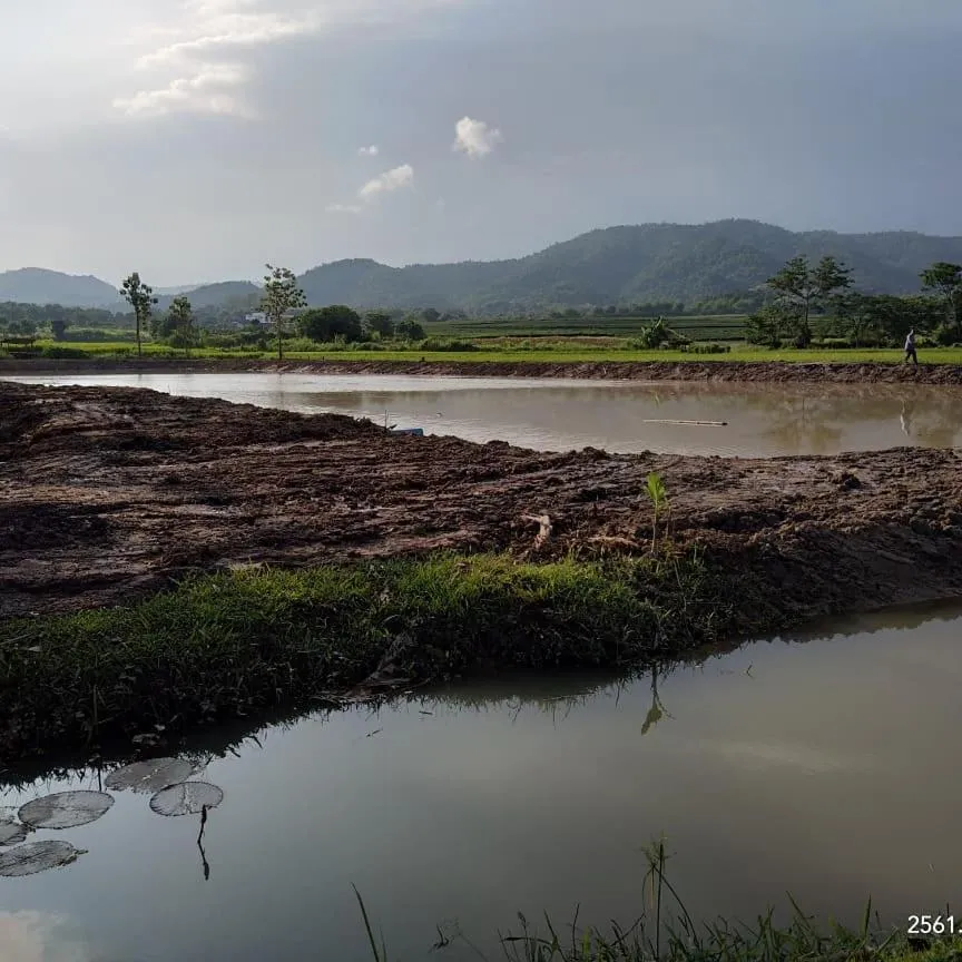 Baan Suan Jantra Home Stay