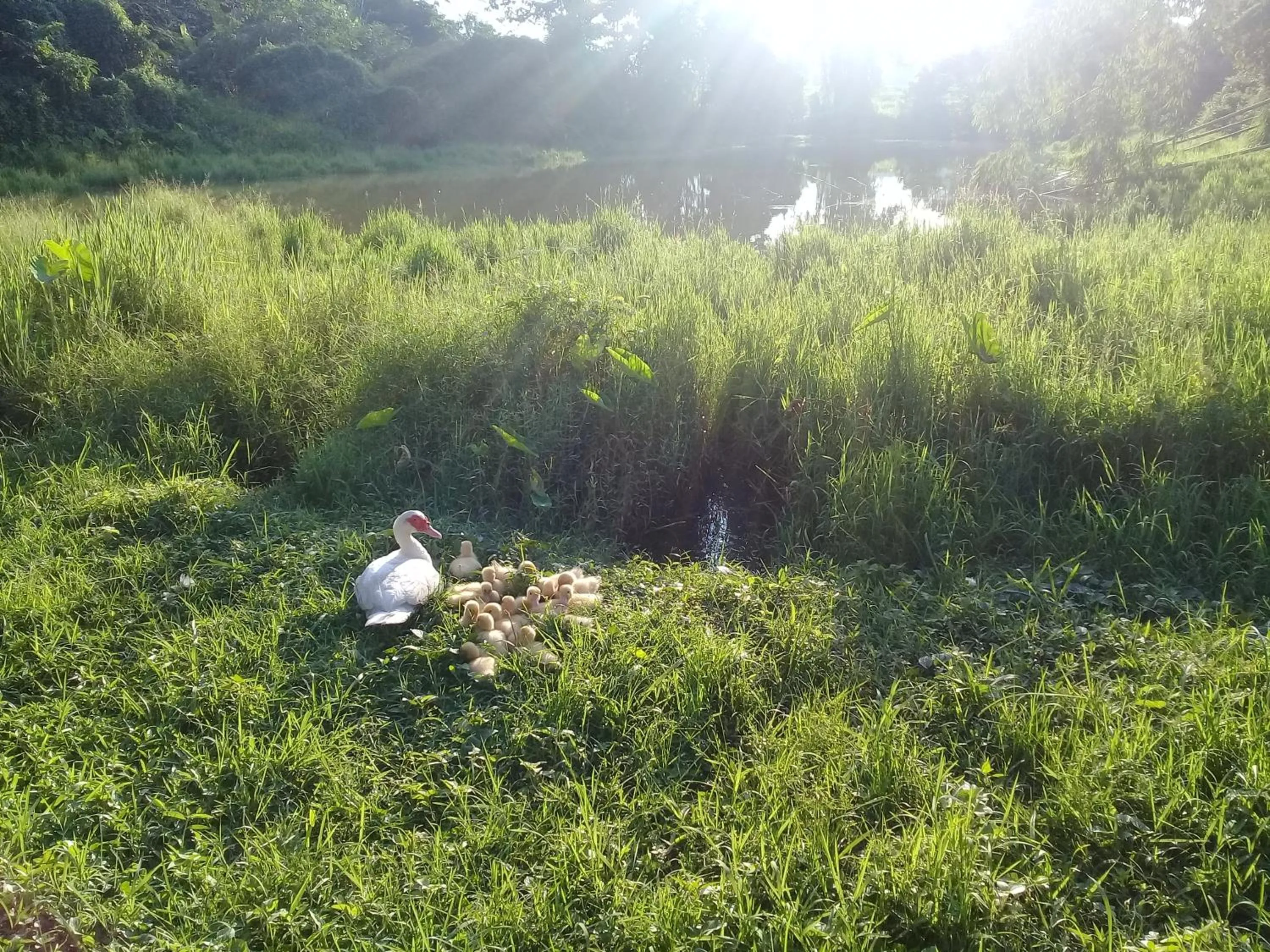 Baan Suan Jantra Home Stay