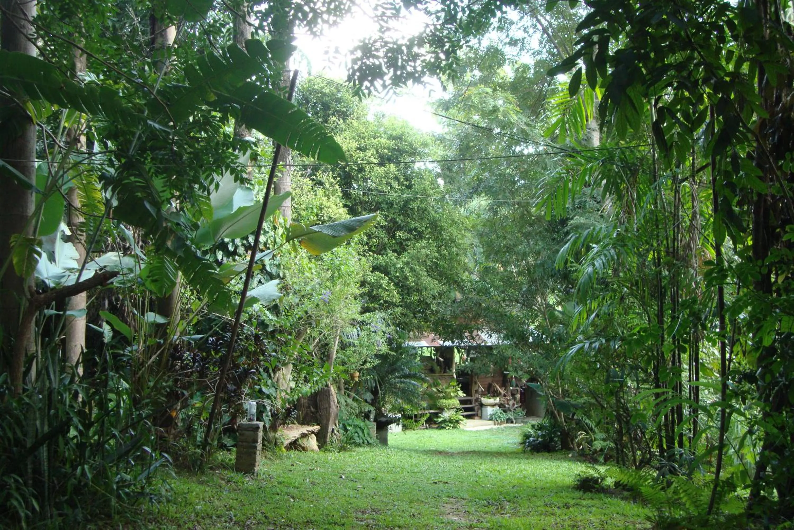 Garden in Baan Suan Jantra Home Stay
