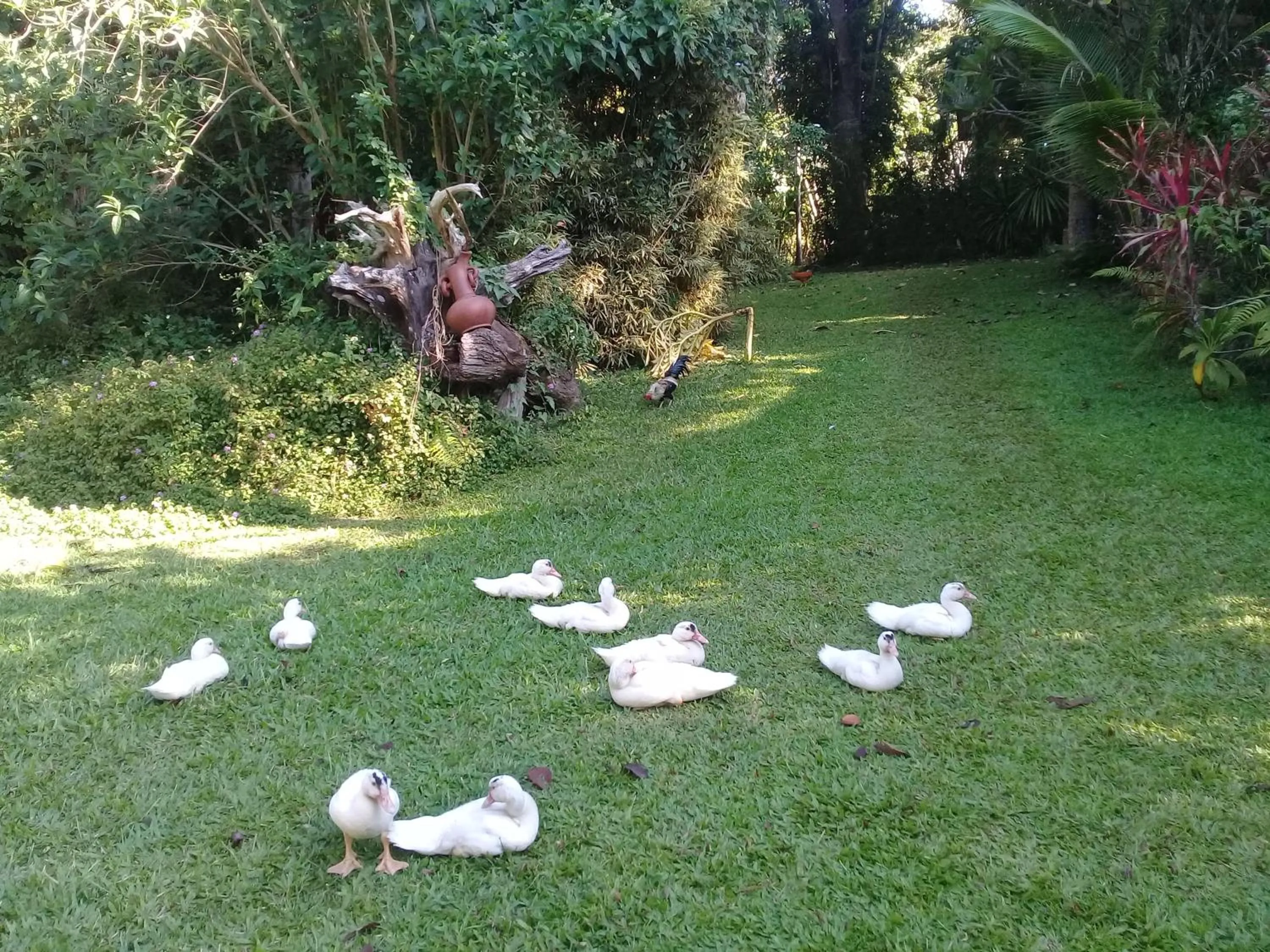 Baan Suan Jantra Home Stay