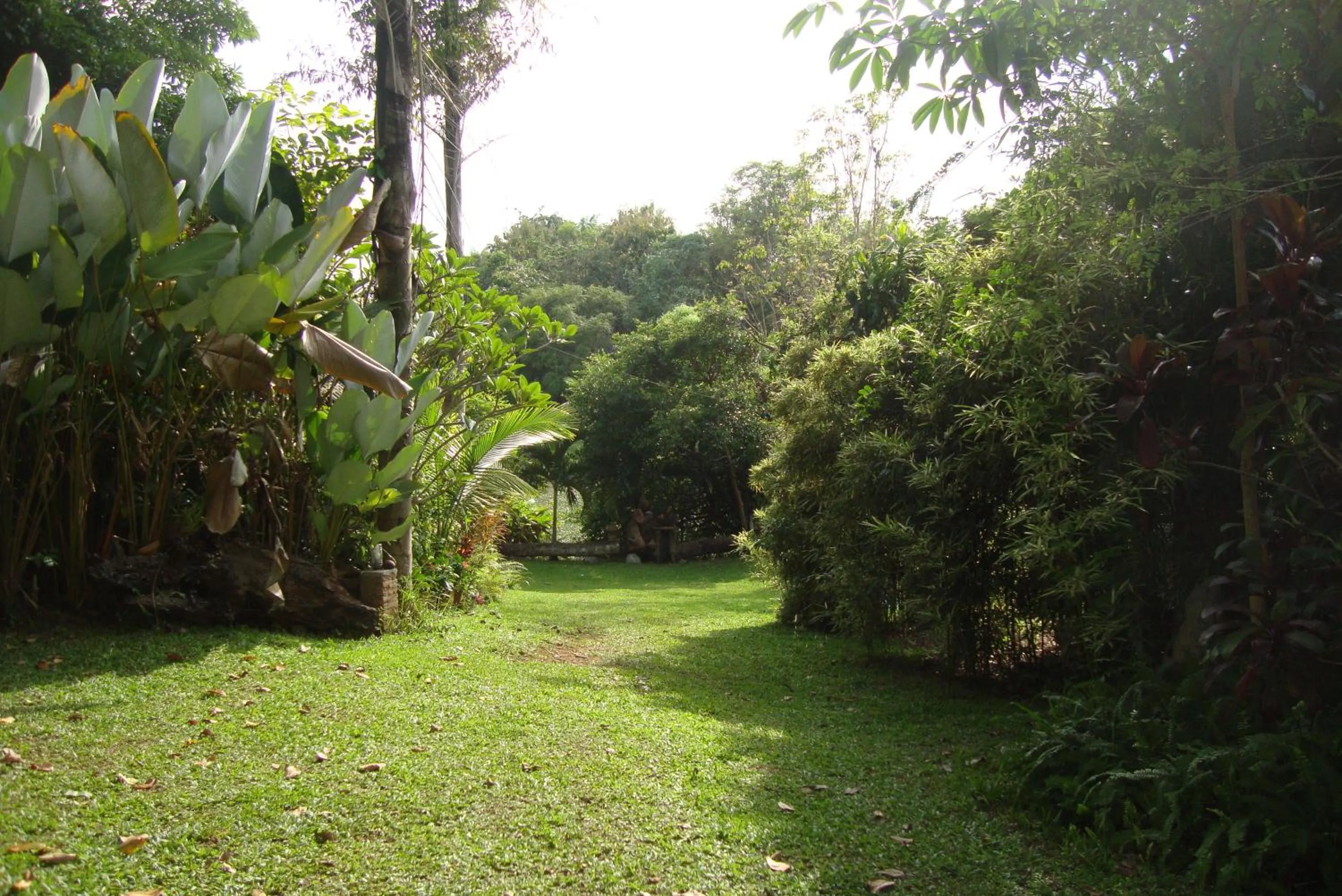 Spring in Baan Suan Jantra Home Stay