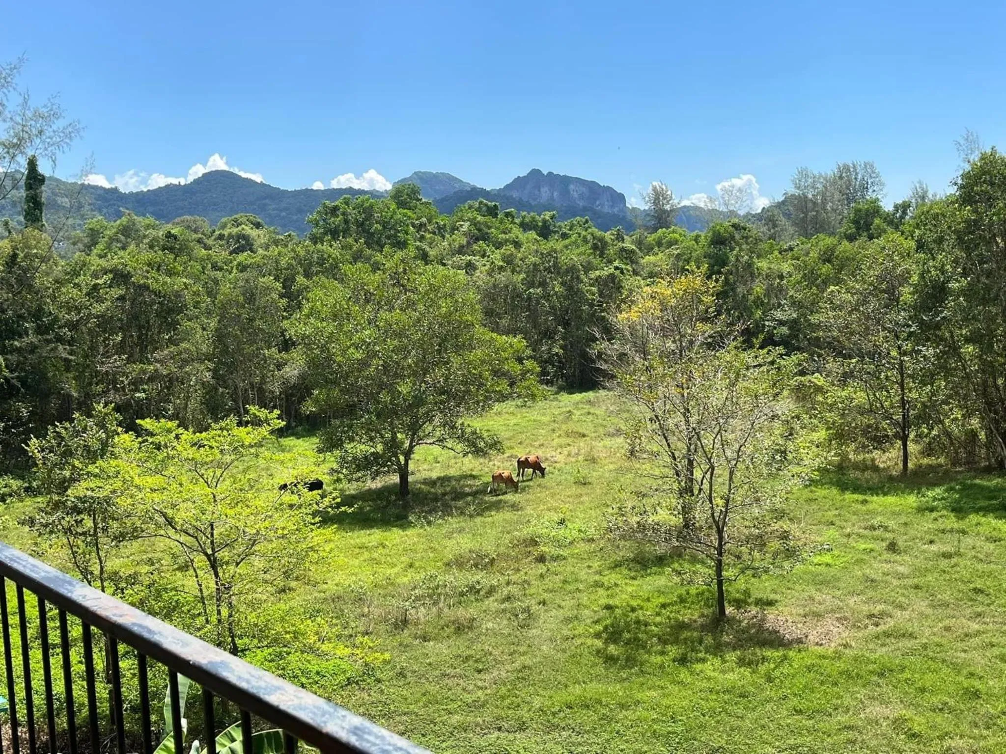 Krabi Lighthouse @ Aonang