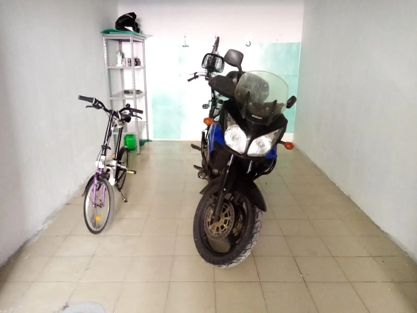 Activities in La Posidonia Oceanica