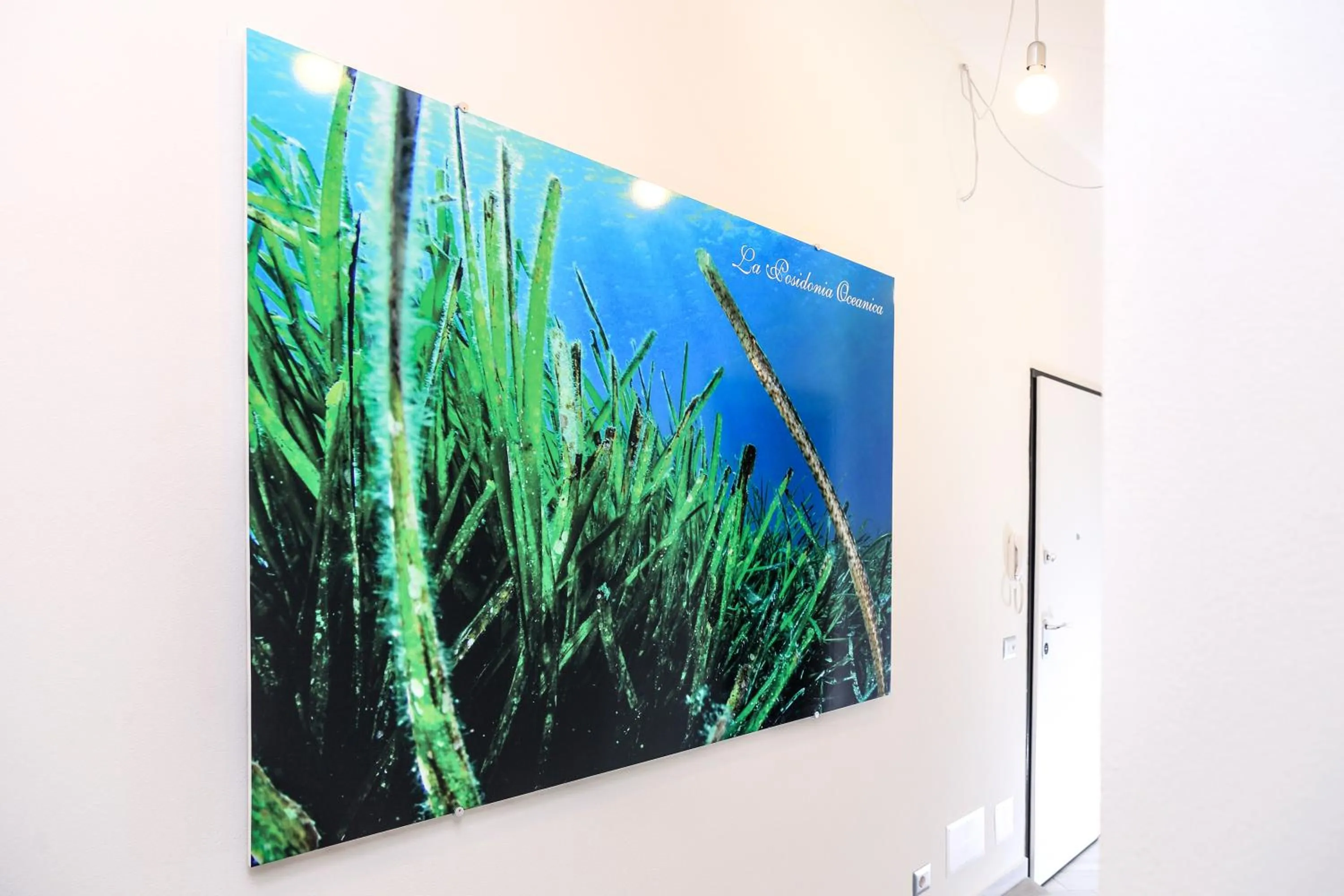 Communal lounge/ TV room in La Posidonia Oceanica