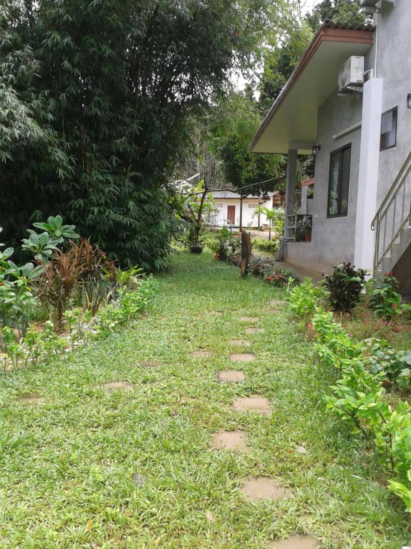 Garden in Nananuira Apartment and Room