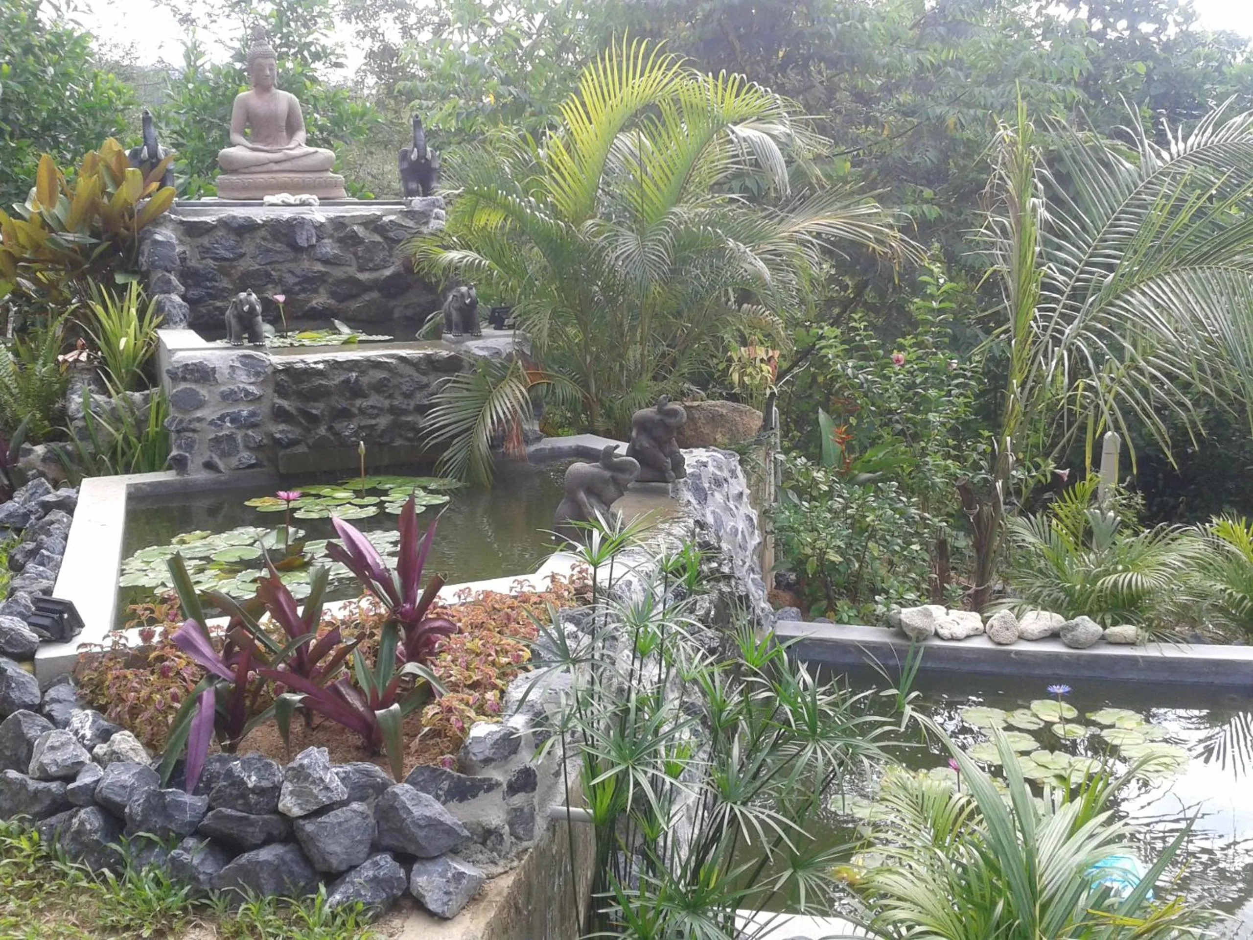 Garden in Nananuira Apartment and Room