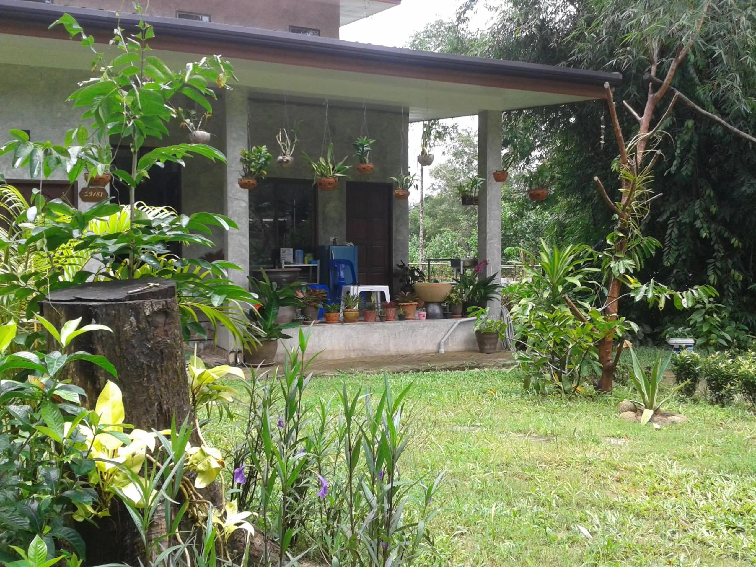 Balcony/Terrace in Nananuira Apartment and Room